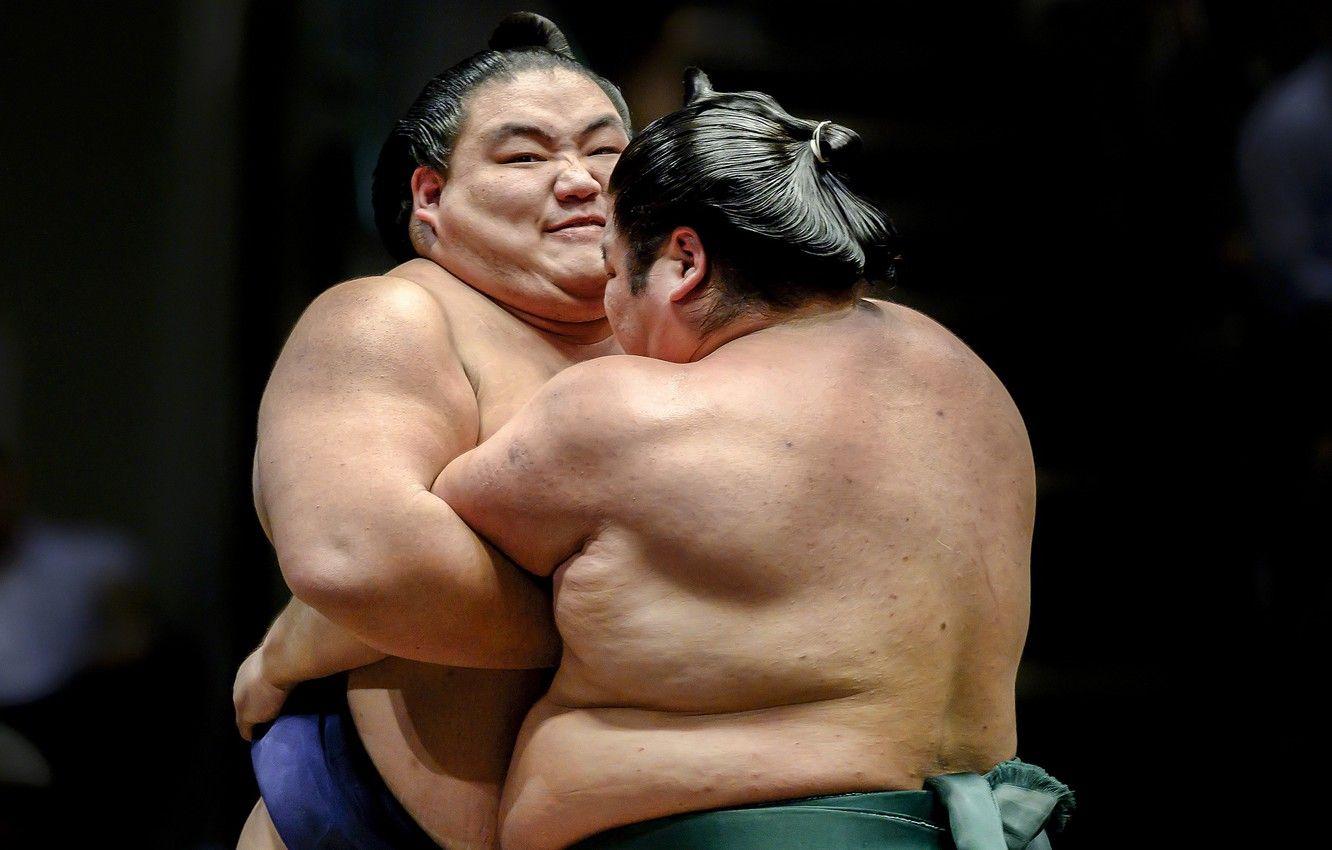 1332x850 Wallpaper sport, fight, sumo image for desktop, section спорт