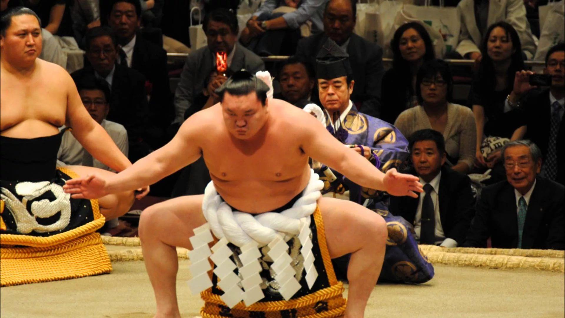 Two Men Performing Sumo Background, Pictures Of Sumo Background Image And  Wallpaper for Free Download