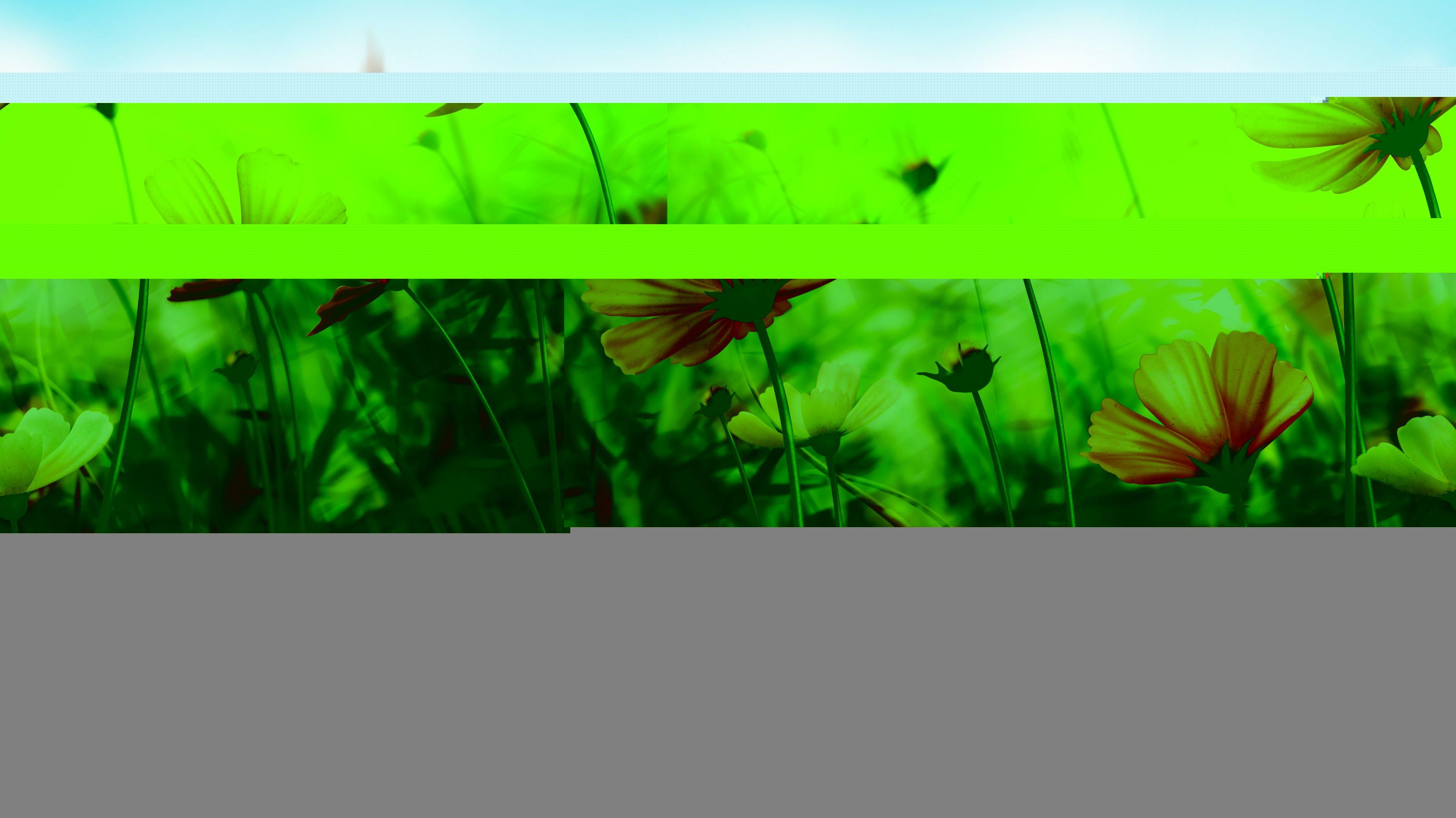 3840x2160 Wallpaper Flowers, 5k, 4k wallpaper, 8k, spring, art, Nature