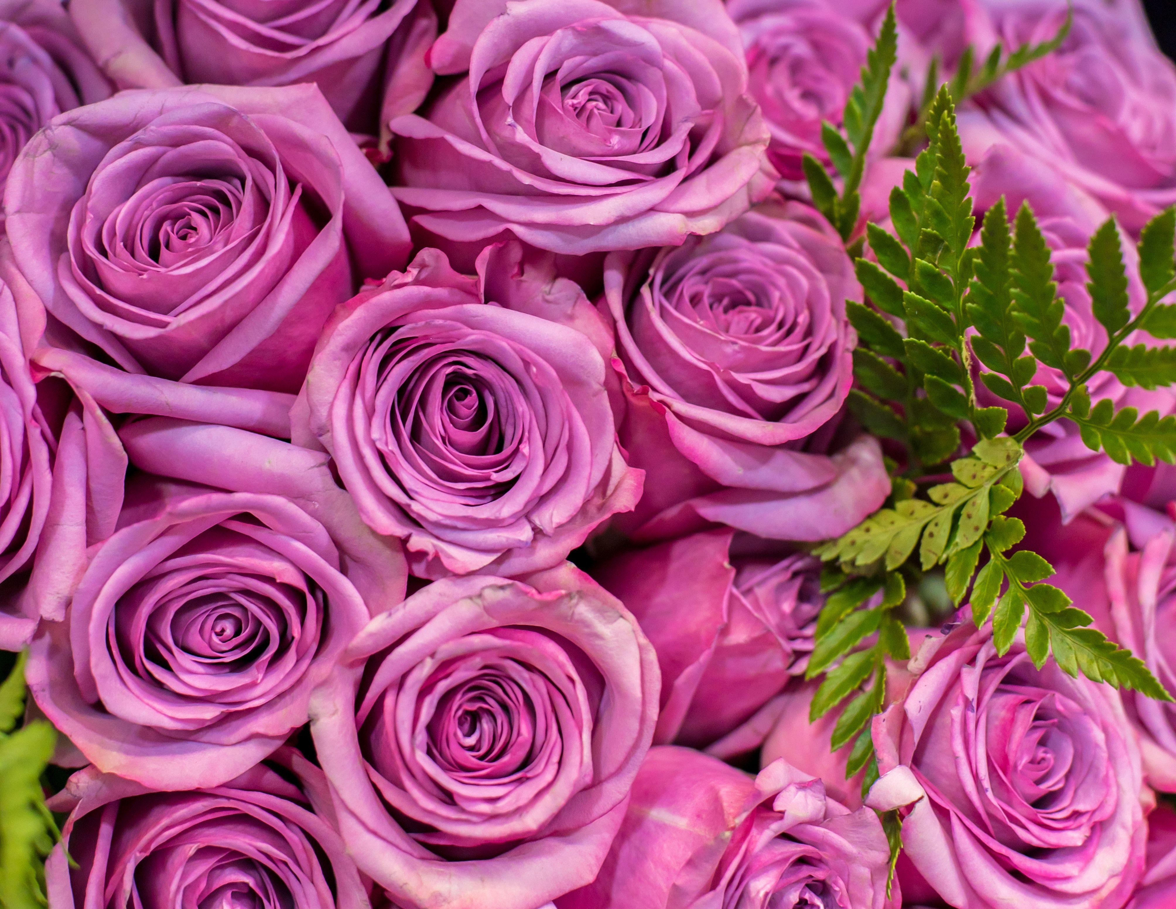4016x3103 Free of 4k wallpaper, flower arrangement, flower bouquet