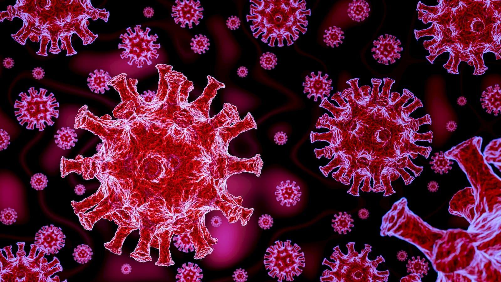 1600x900 Everything You Need To Know About The Novel Coronavirus COVID 19