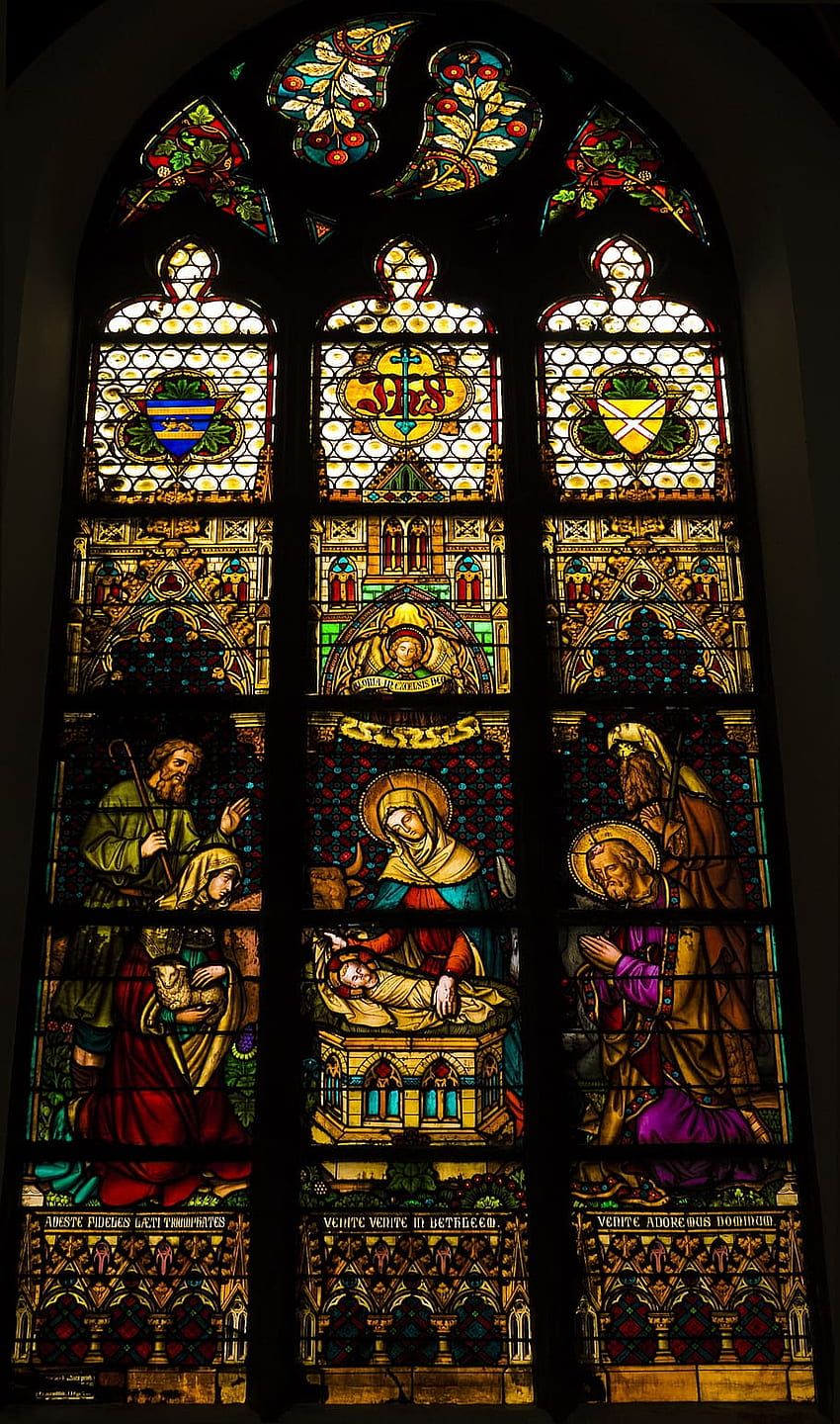 850x1440 Catholic church HD wallpaper