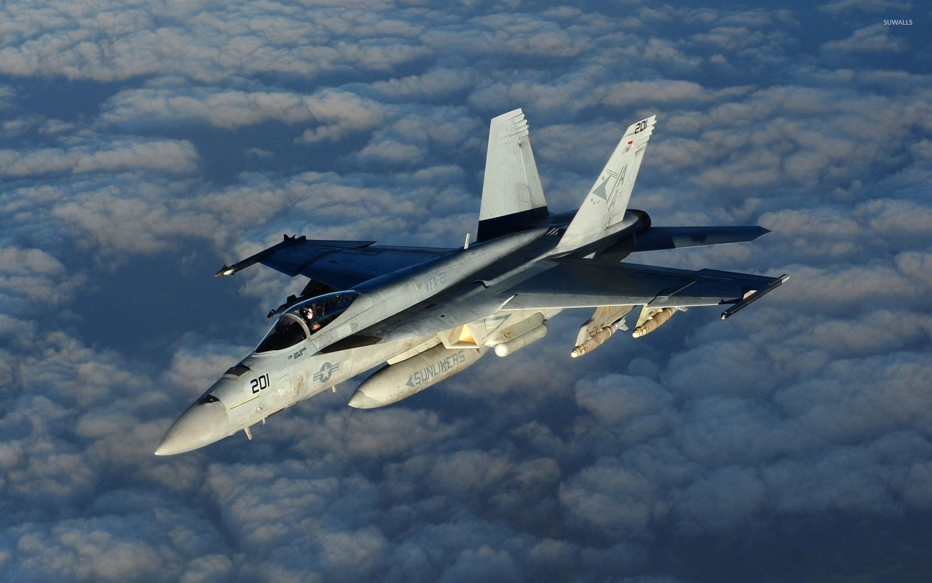 1920x1200 F 18 Super Hornet Wallpaper