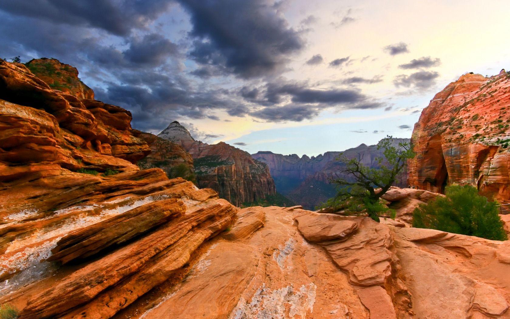 1680x1050 Free Zion National Park wallpaperx1050