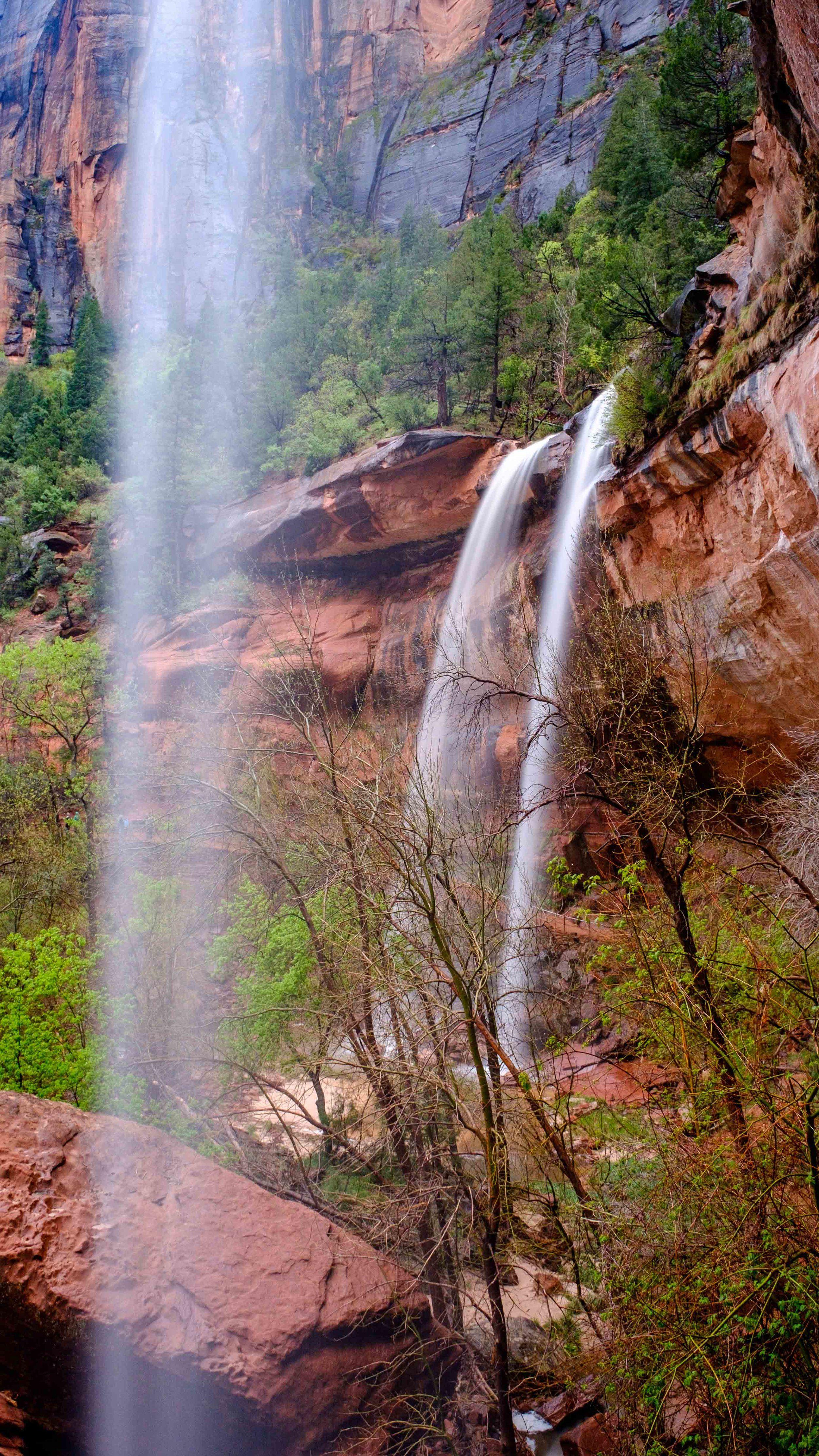 2500x4444 Zion National Park Mobile Phone Wallpaper