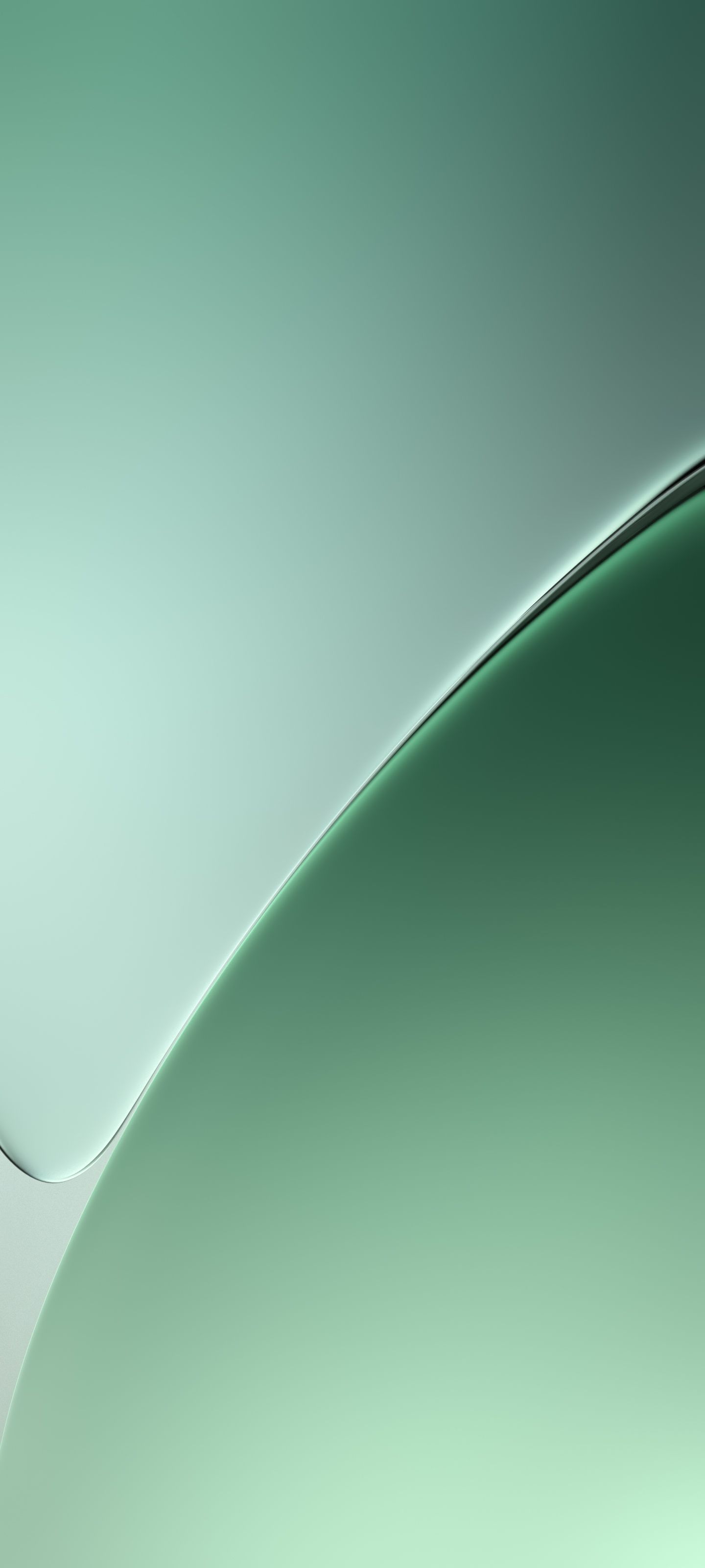 1440x3200 Xiaomi 15 & Xiaomi 15 Pro Wallpaper and Background
