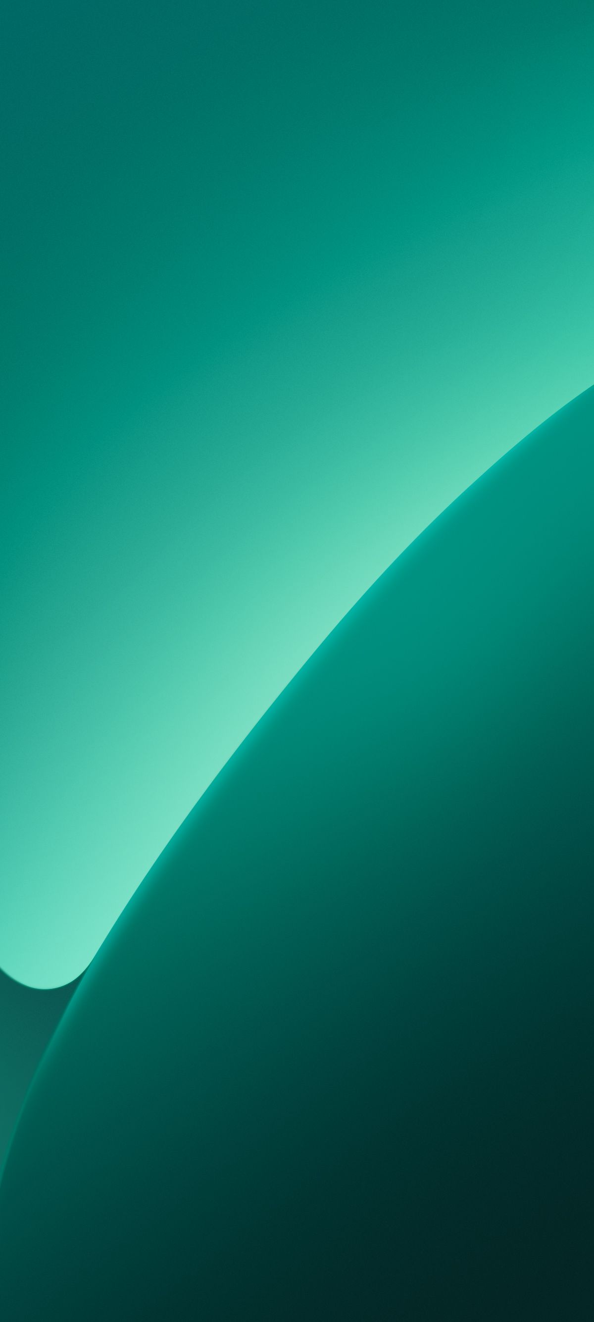 1200x2670 Xiaomi 15 & Xiaomi 15 Pro Wallpaper and Background