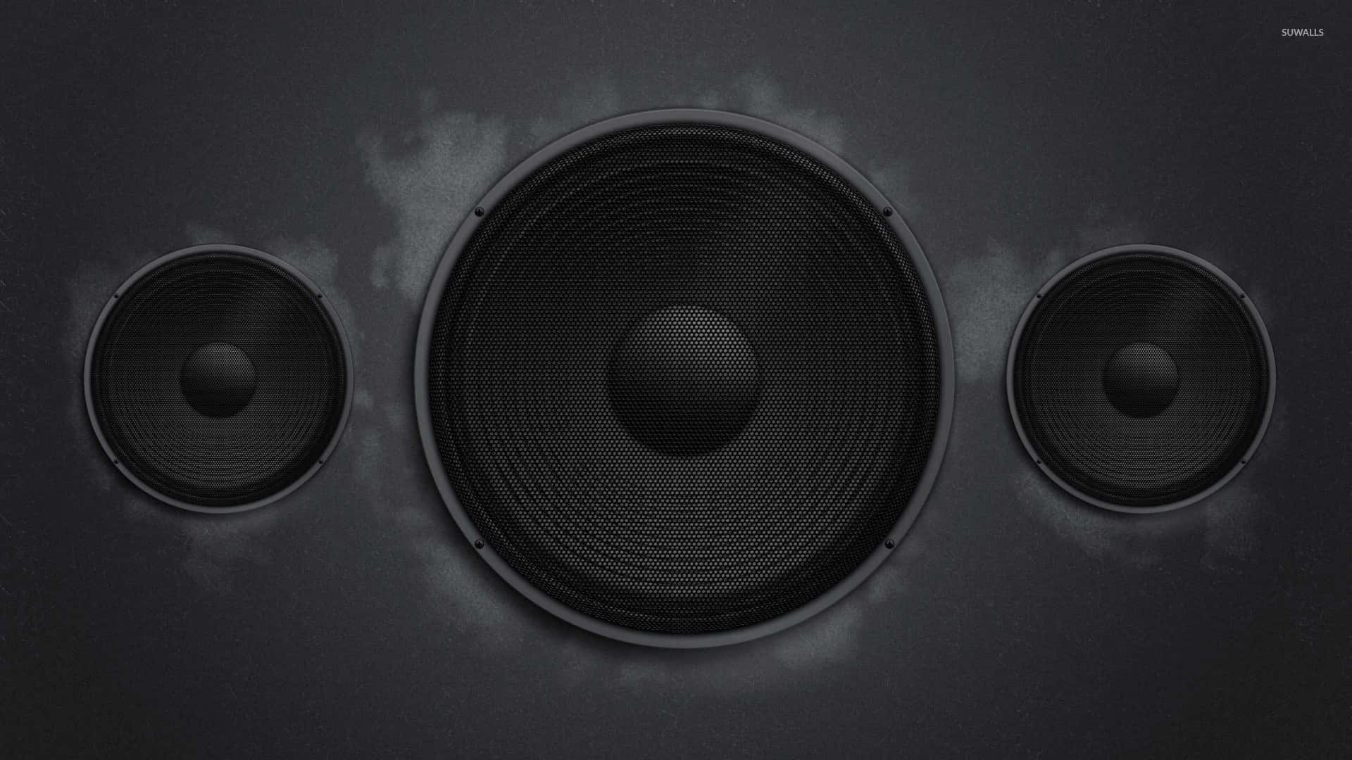 1920x1080 Speaker Picture