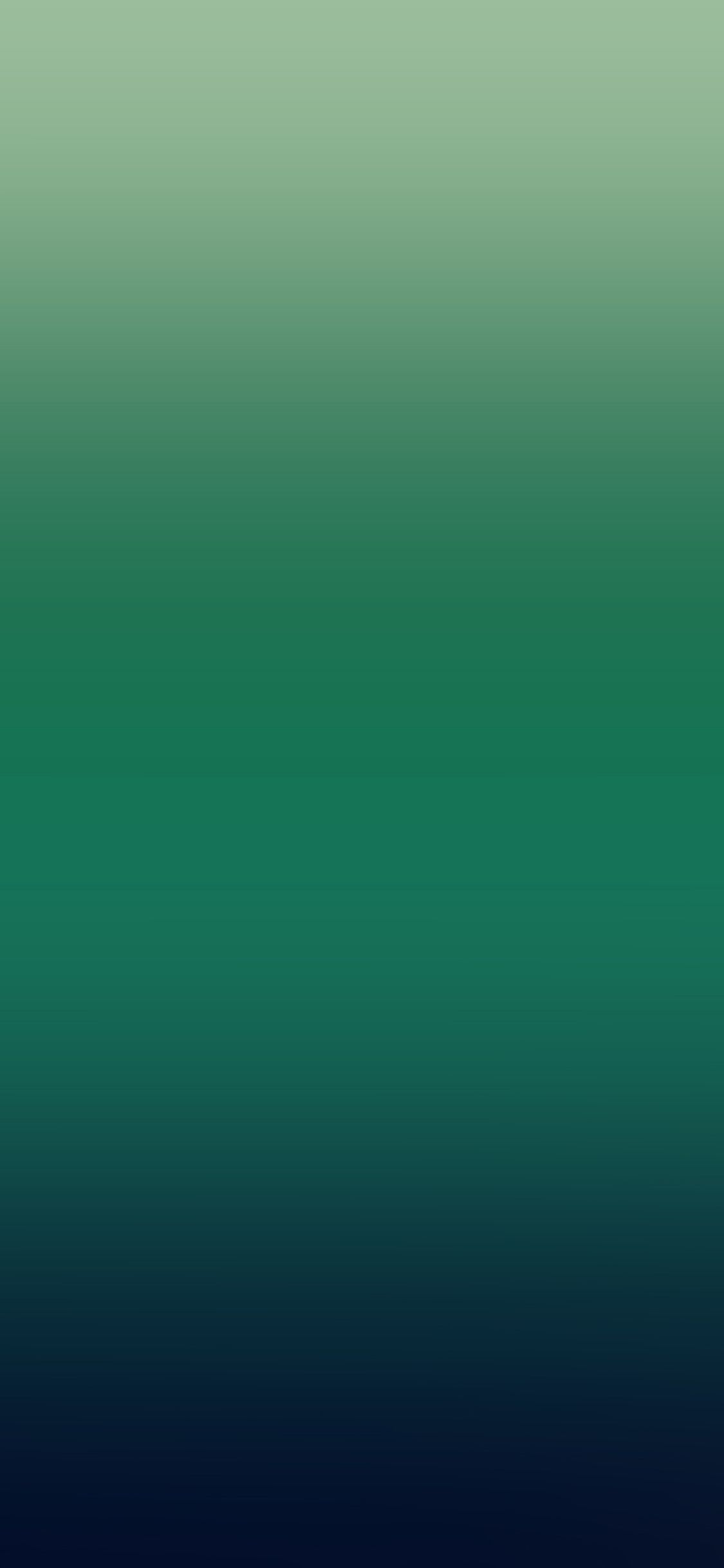 1125x2436 iPhone X wallpaper. dark green soft gradation blur