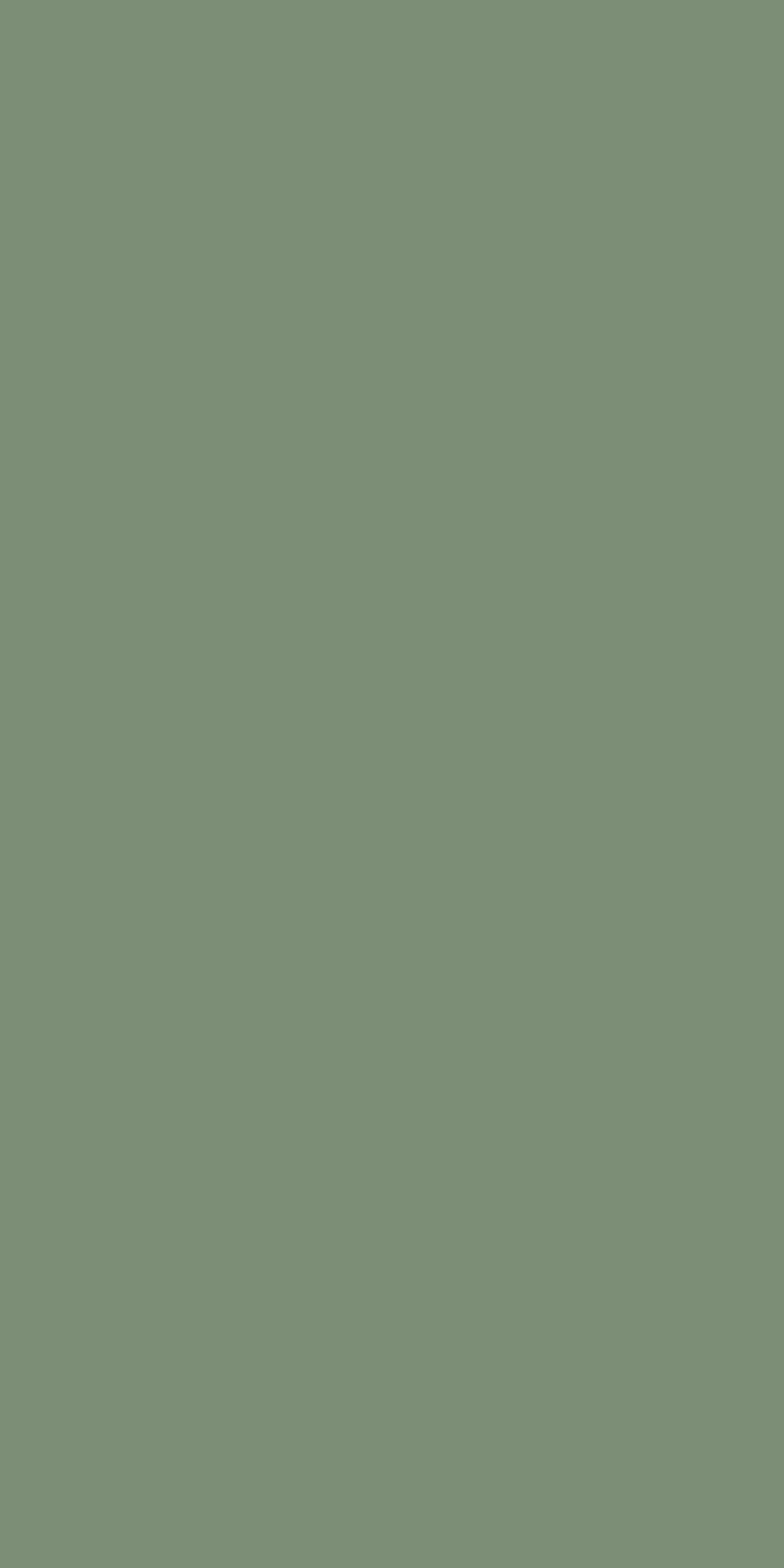 3125x6250 Sage Green