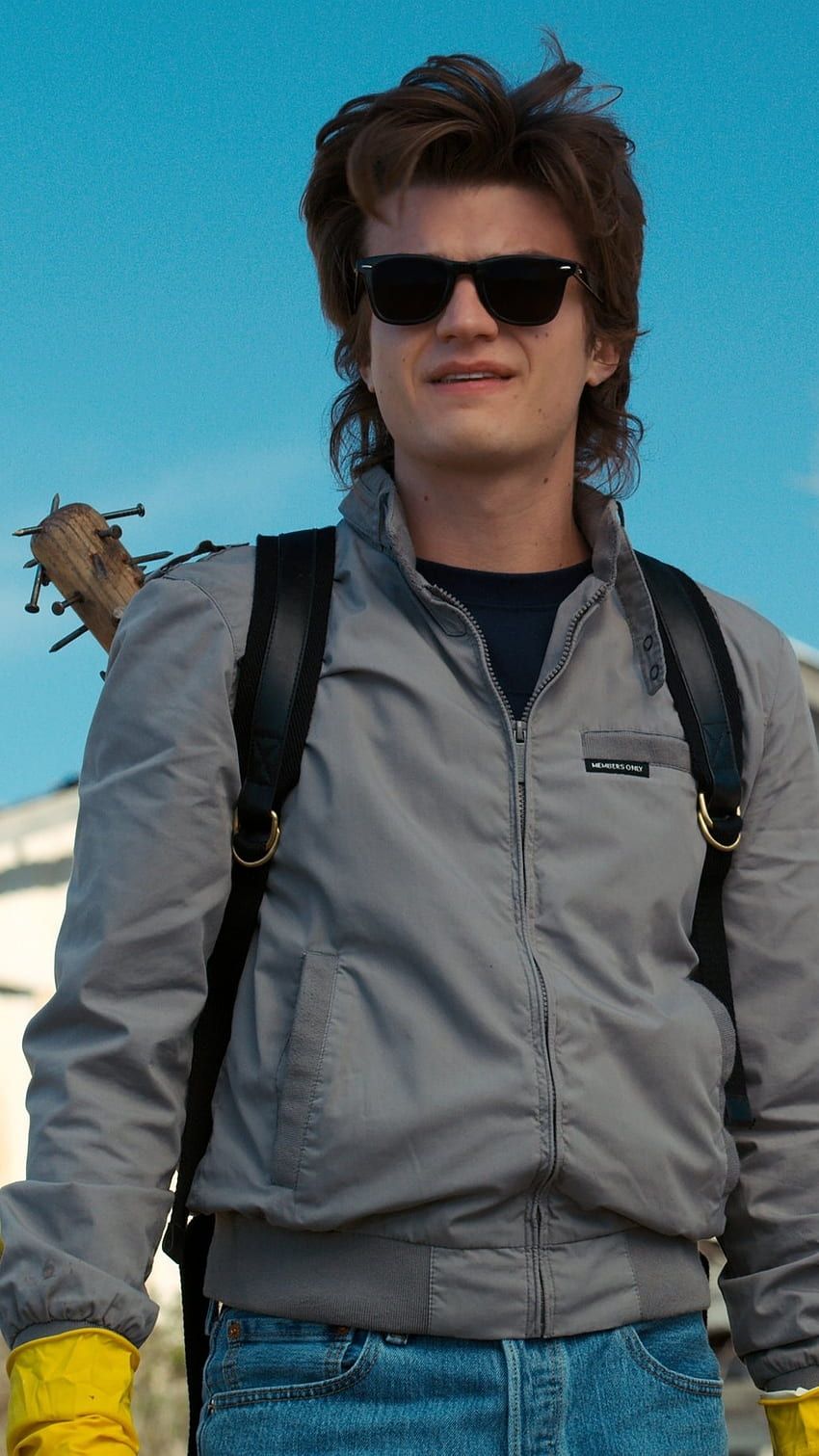 850x1511 Steve Harrington, Dustin And Steve HD phone wallpaper