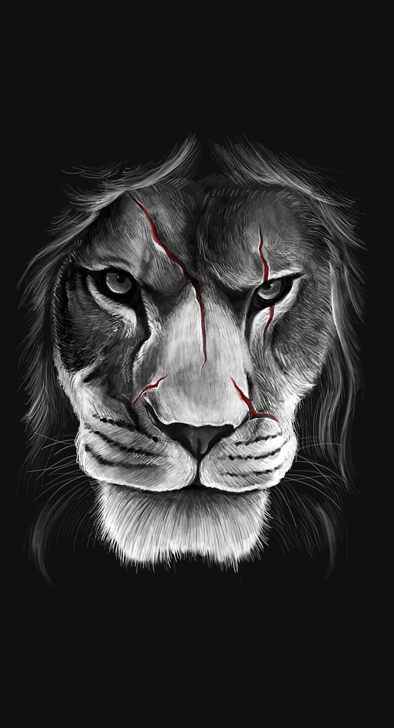 800x1477 Lion scarface, black and white, cara cortada, leon, scary, HD phone wallpaper