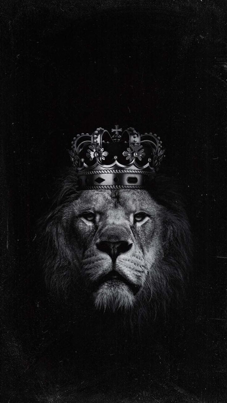736x1308 Scarface Lion 4k iPhone Wallpaper