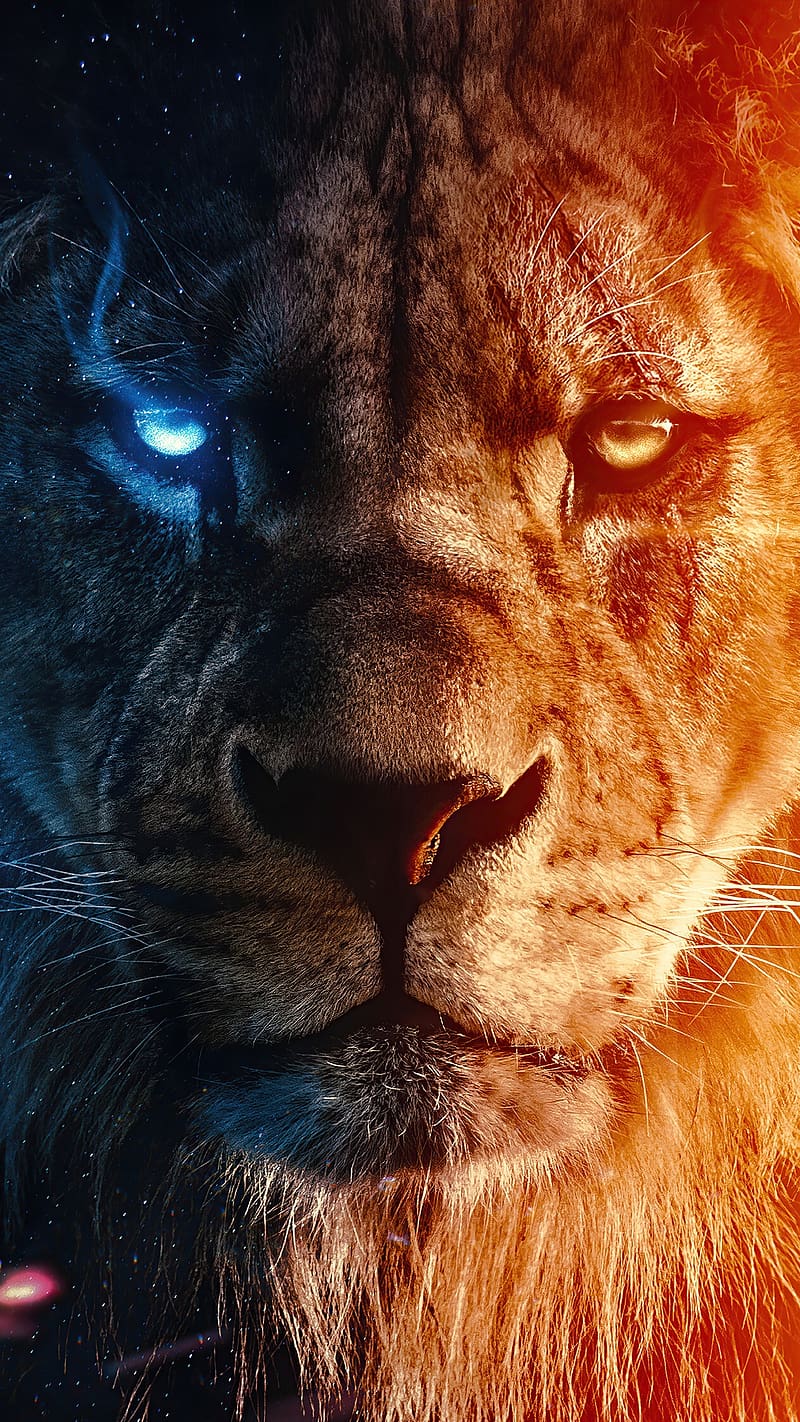800x1422 HD scary lion wallpaper