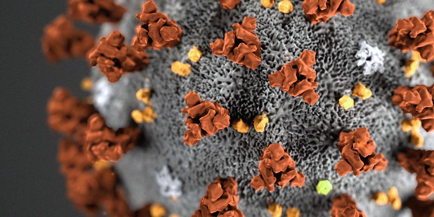 1500x750 Humanity's greatest threat: WHO description of coronavirus
