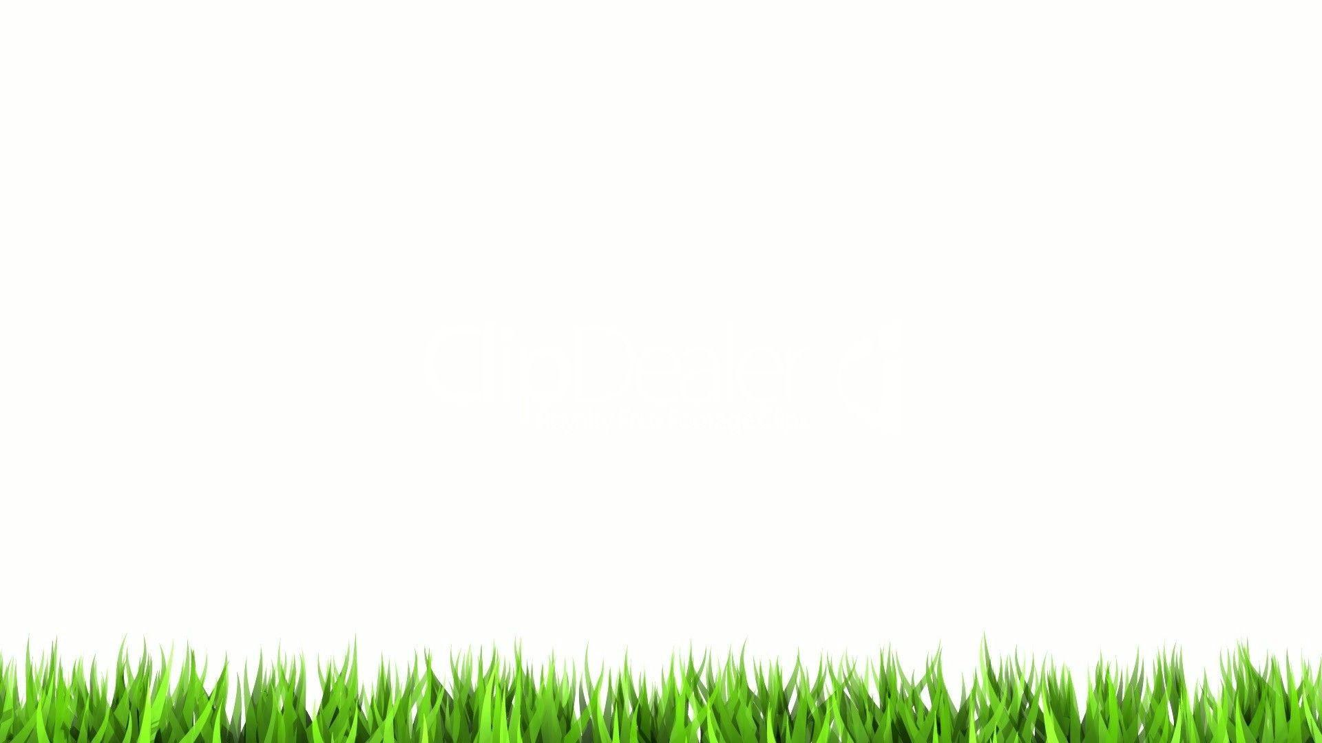 1920x1080 White Background HD Wallpaper