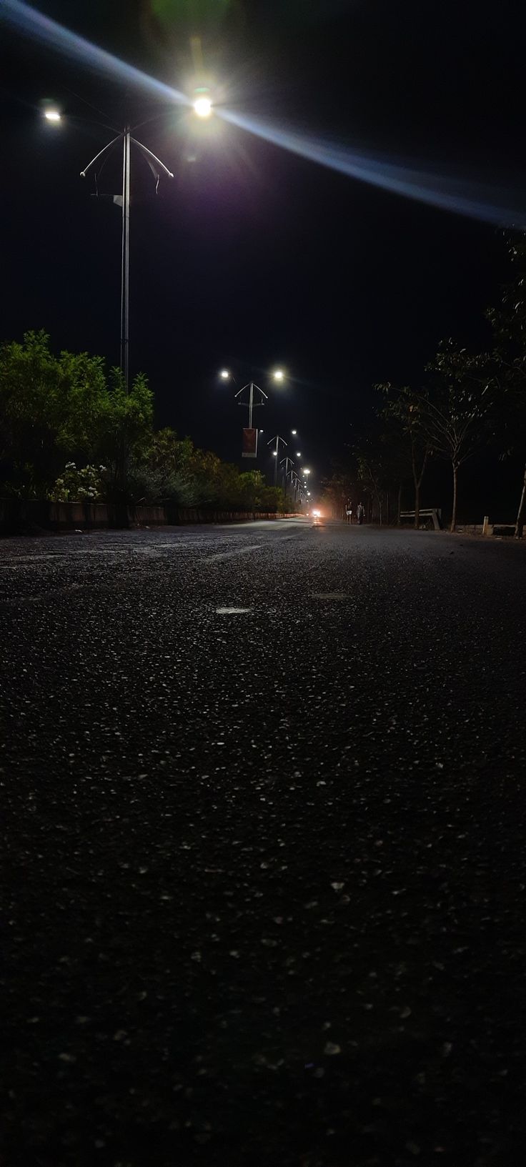 736x1633 Night out
