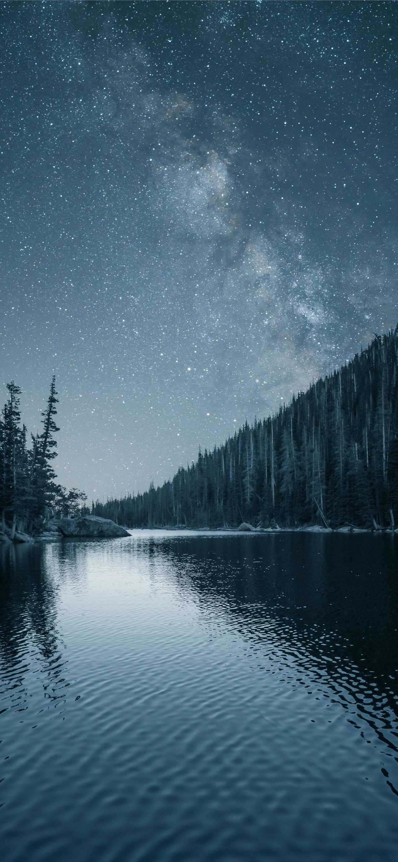 1284x2778 Night out lake forest nature iPhone Wallpaper Free Download