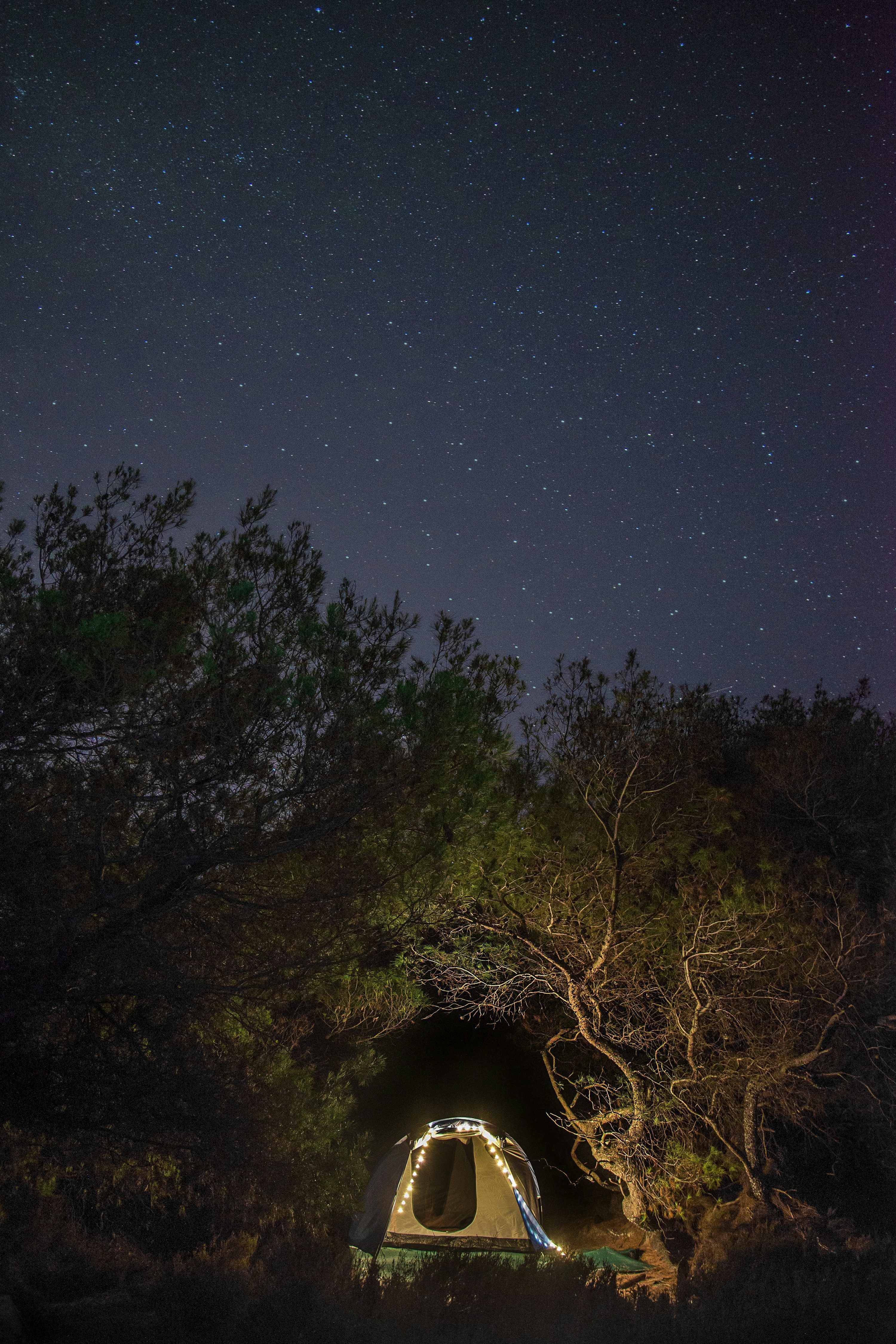 3000x4500 Lonely Nights Picture. Download Free Image