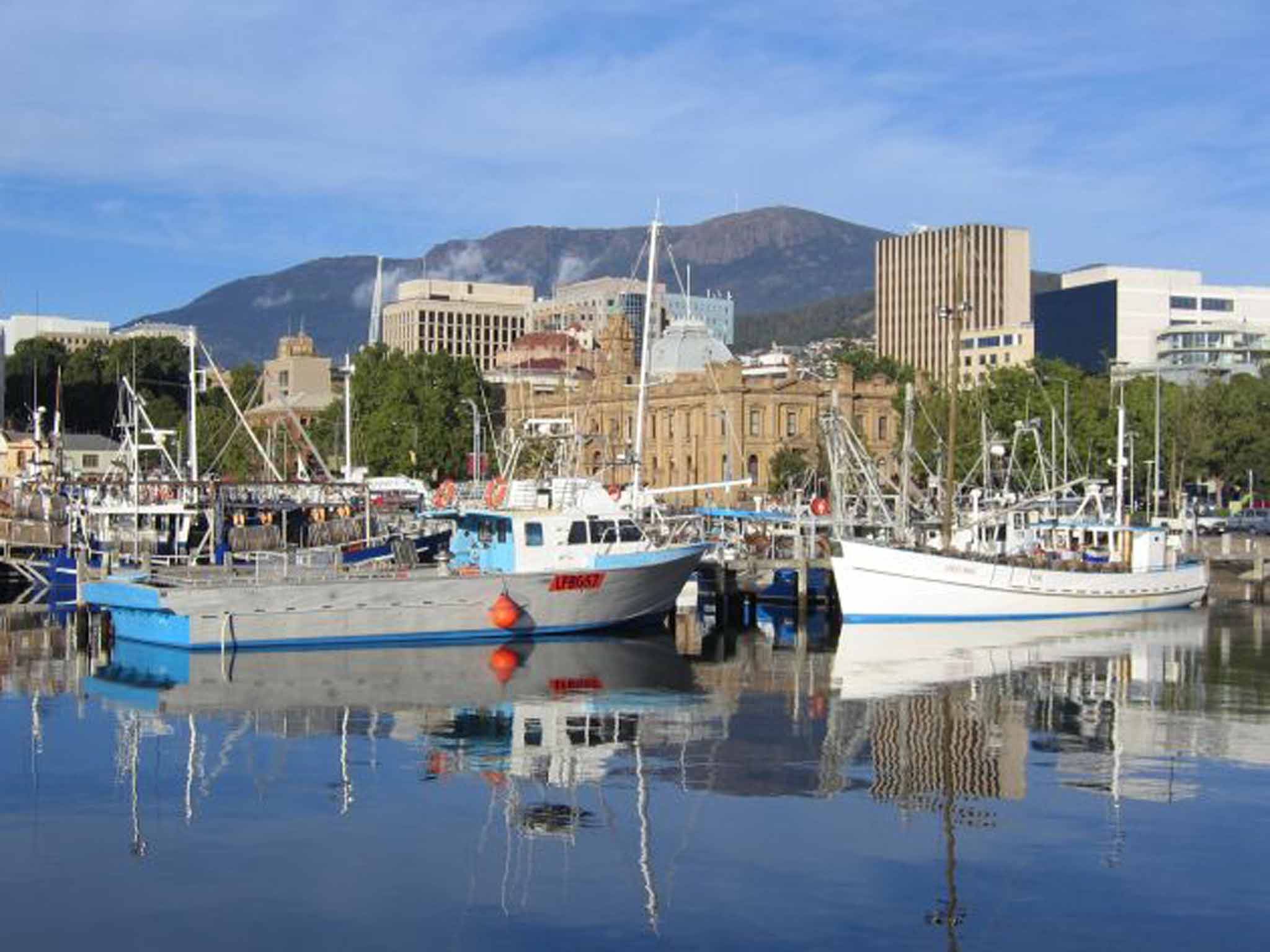 2048x1536 How Hobart is emerging as a destination for lovers of food, art and echidnas