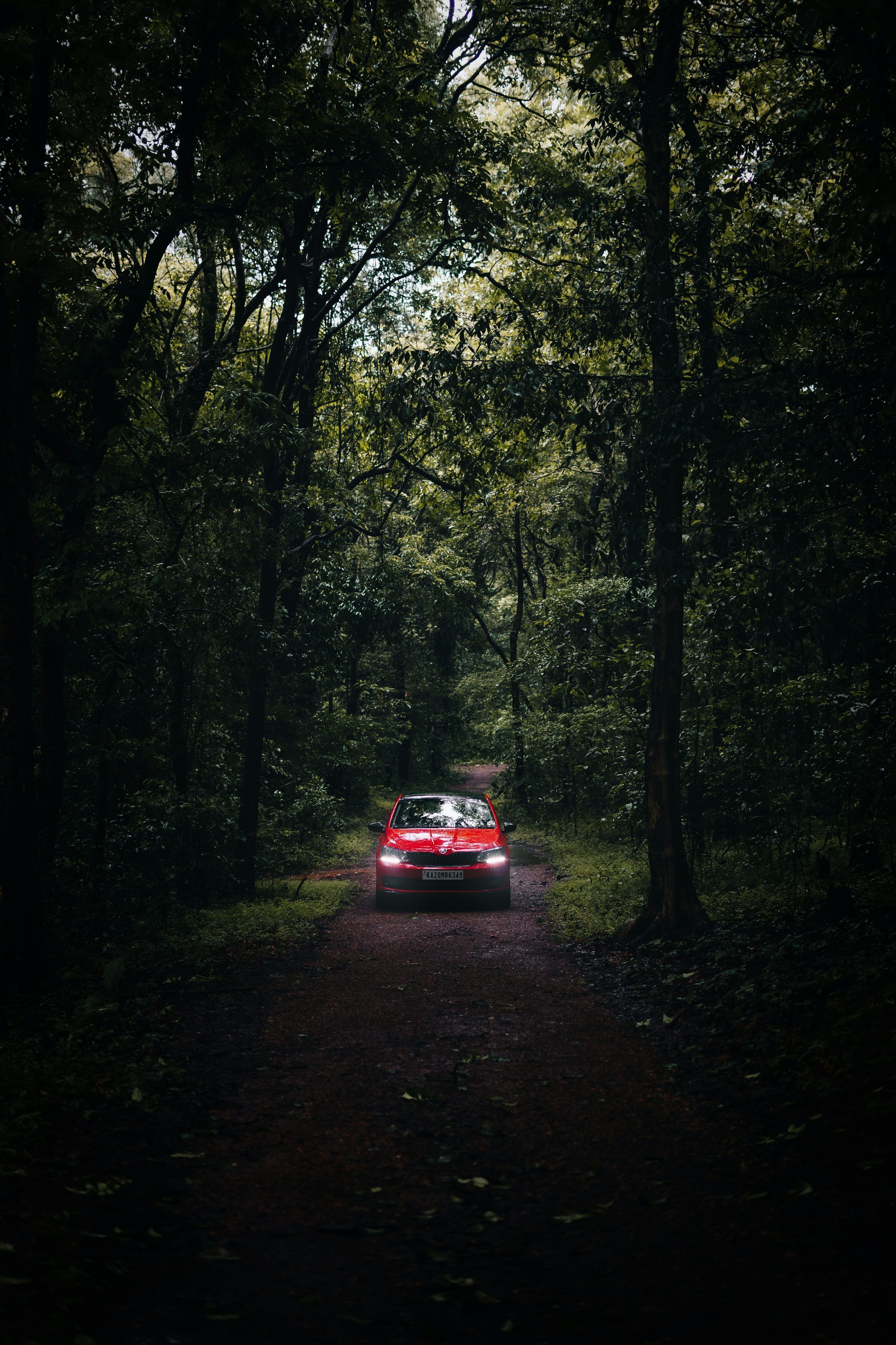 3000x4500 Car In Nature Picture. Download Free Image