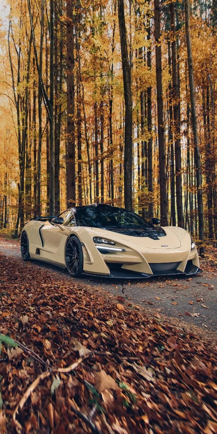 736x1472 McLaren #sportscar #cars #nature #McLaren