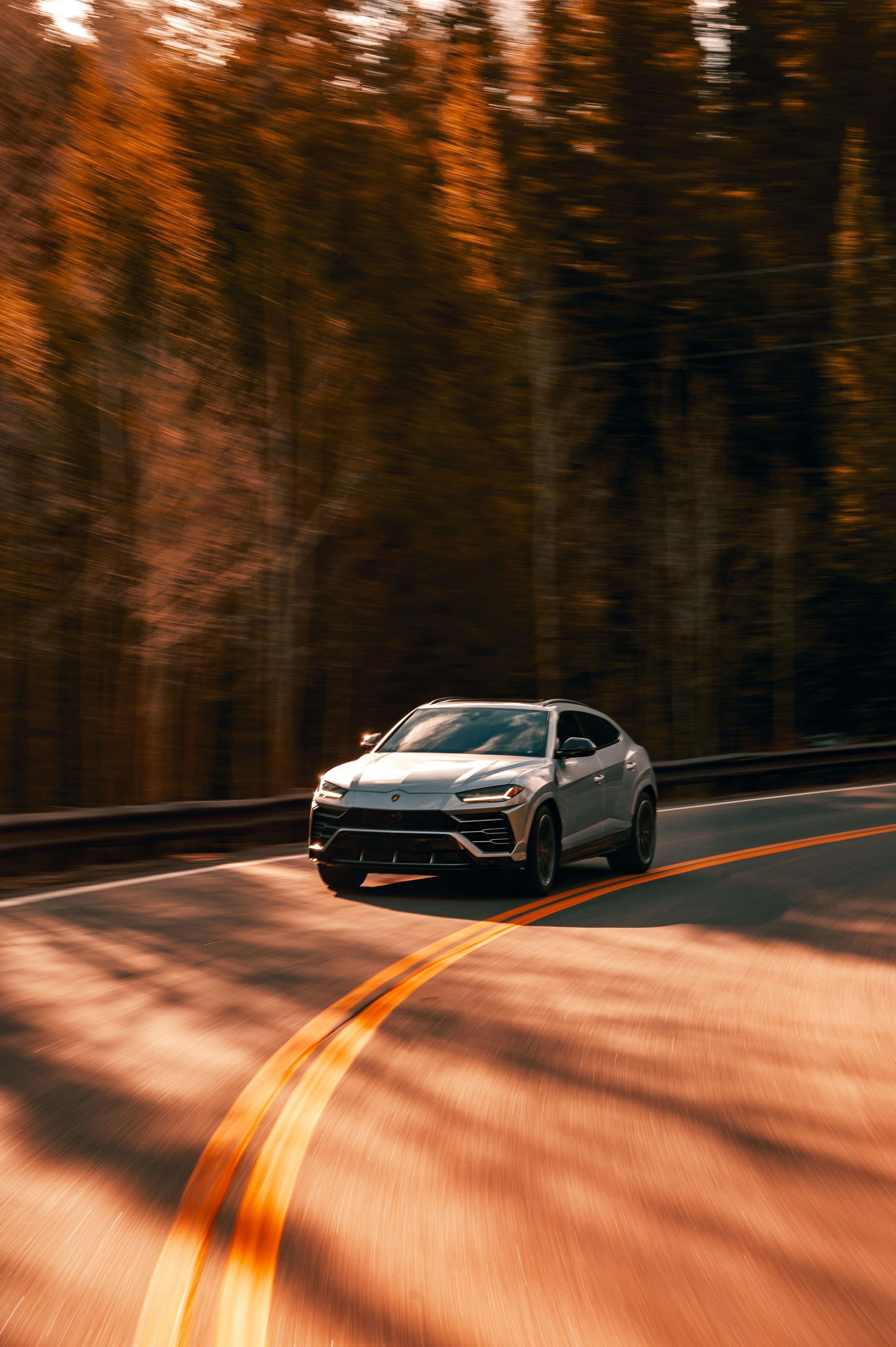 3000x4509 Car In Nature Picture. Download Free Image