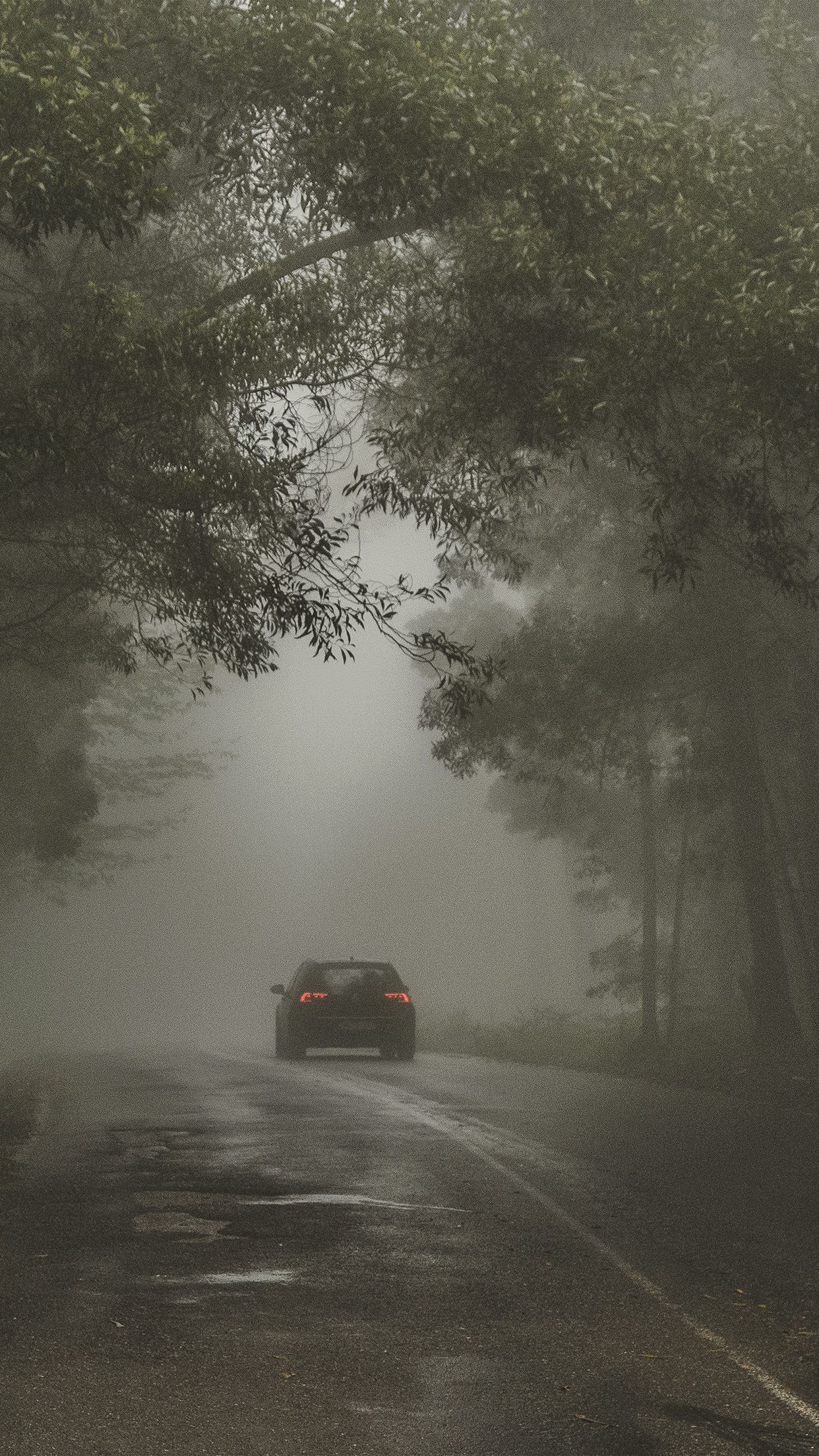 1242x2208 iPhone X wallpaper. forest street wood dark nature car
