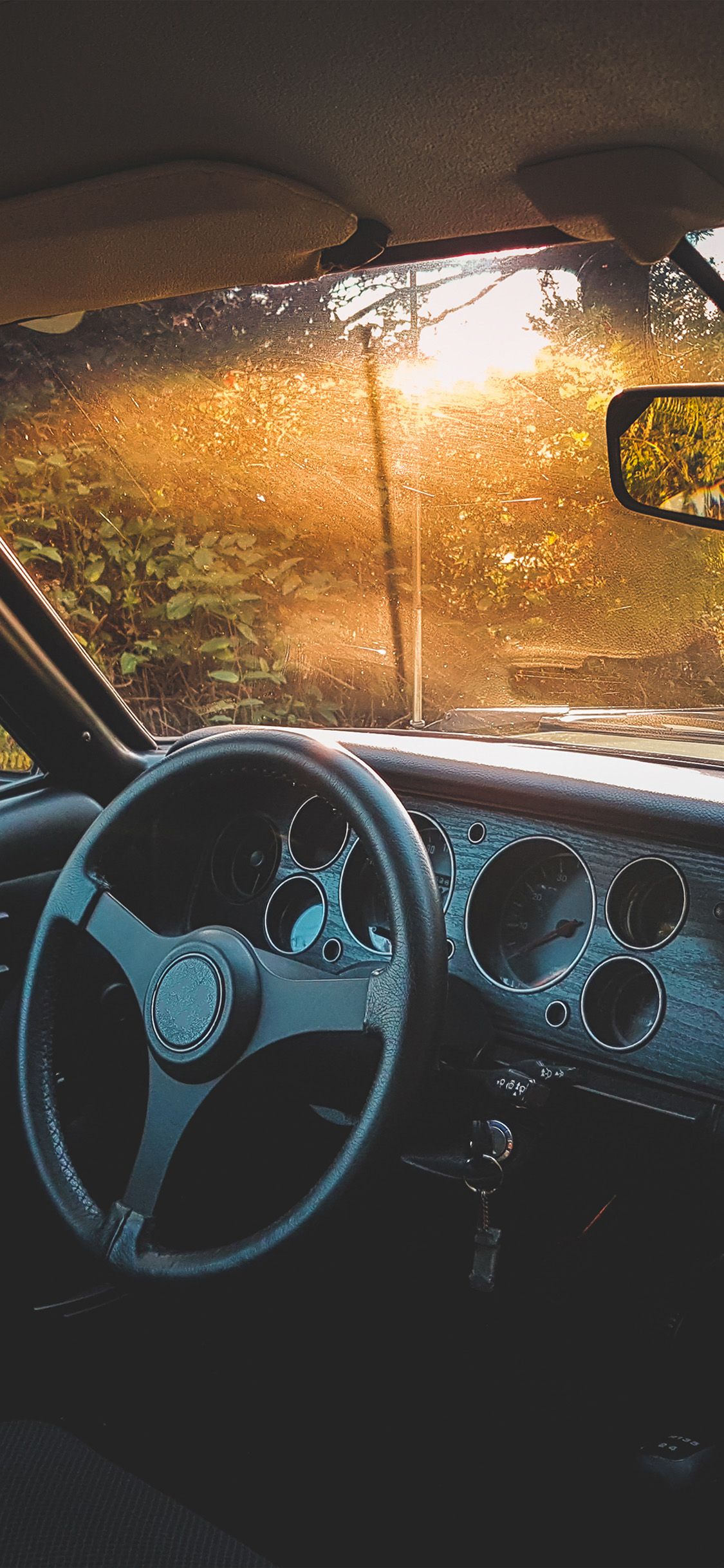 1125x2436 iPhone X wallpaper. car drive forest light nature