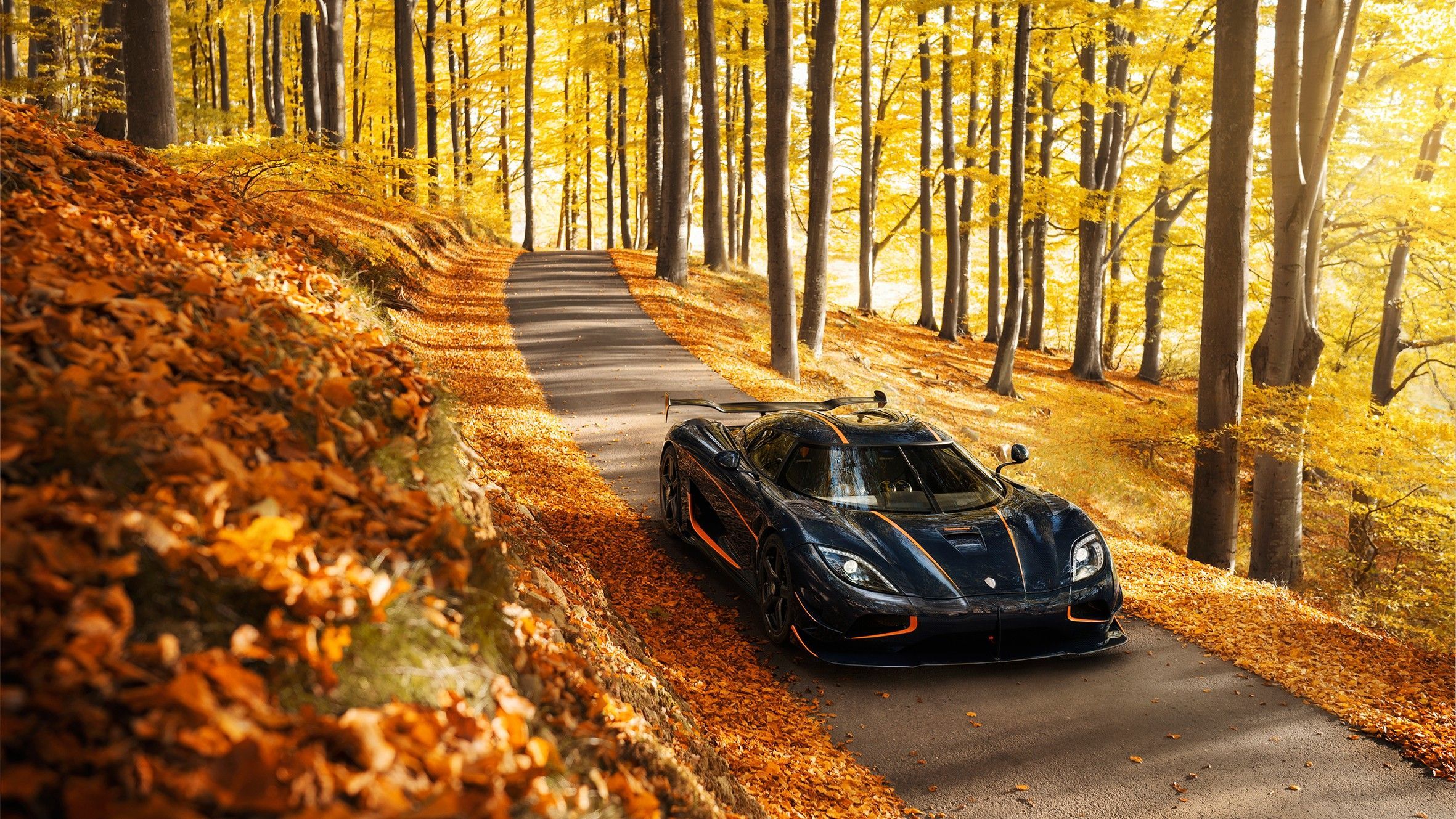 2362x1329 car, Vehicle, Nature, Fall, Leaves, Trees, Koenigsegg, Koenigsegg Agera, Road, Forest, Sunlight, Supercars, Sports car Wallpaper HD / Desktop and Mobile Background