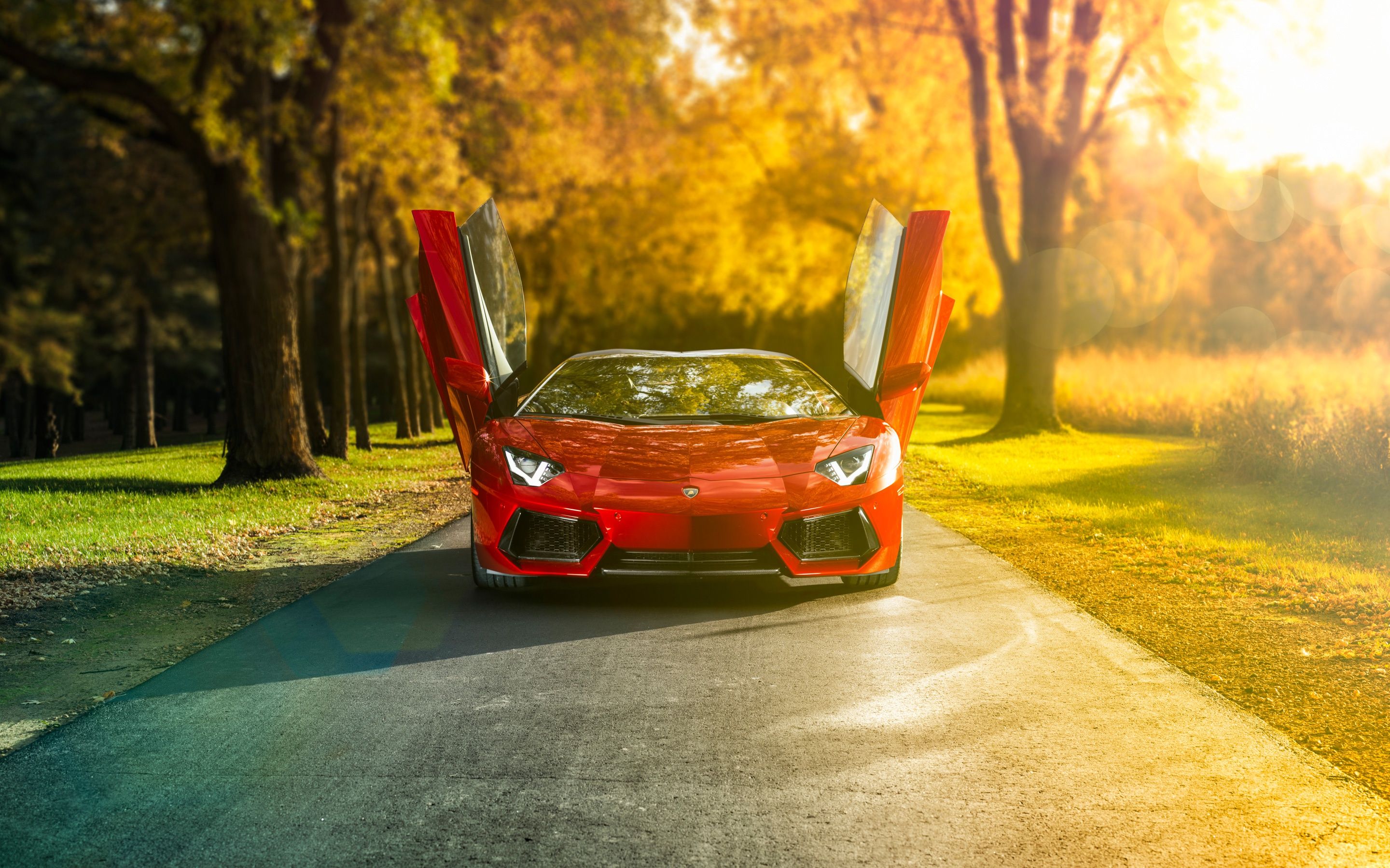 2880x1800 Wallpaper car, Lamborghini, red, road, trees, sunrise, Supercar, natural light for mobile and desktop, section lamborghini, resolution 2880x1800
