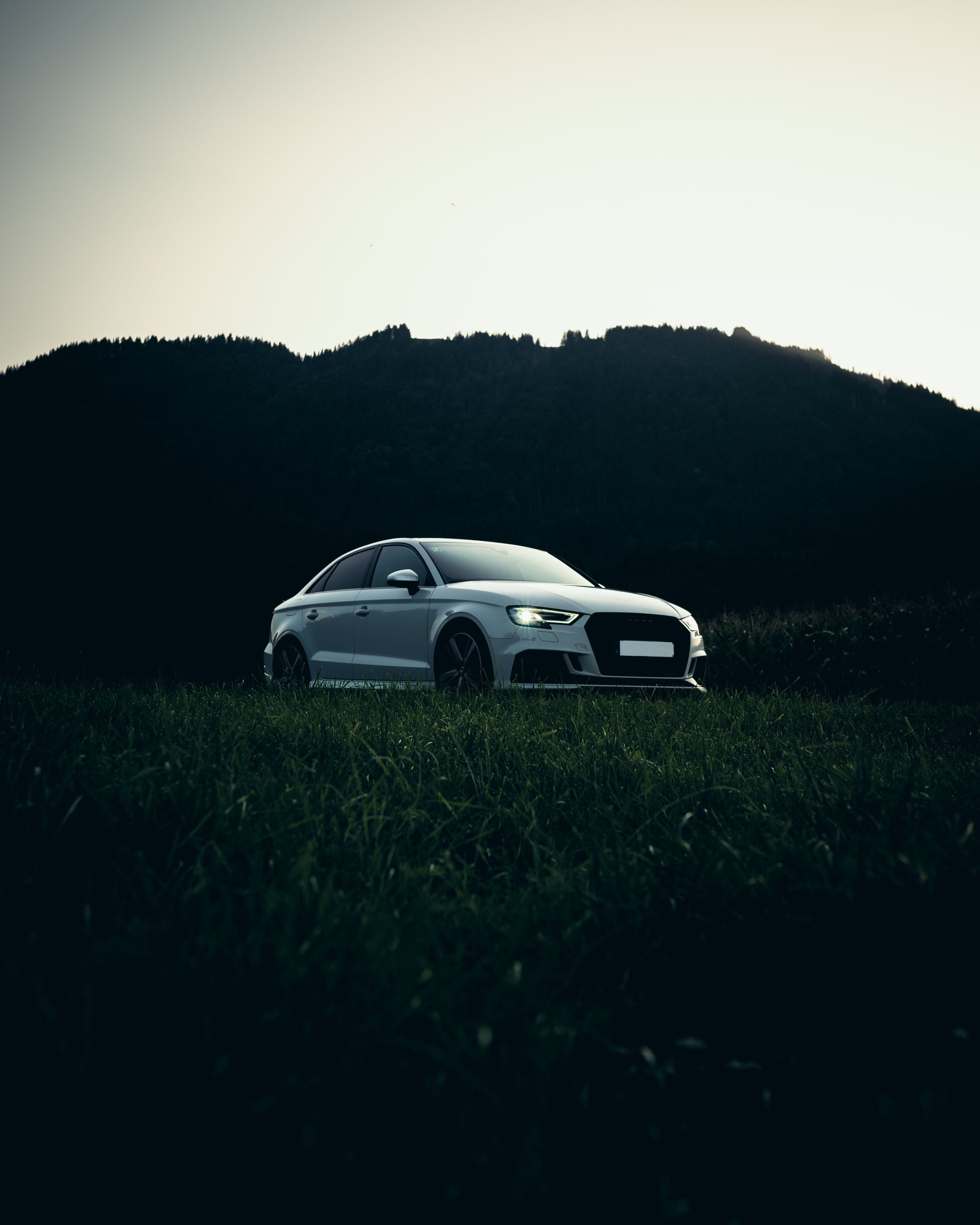 4000x5000 Phone wallpaper: Cars, Audi, Nature, Grass, Car 112603
