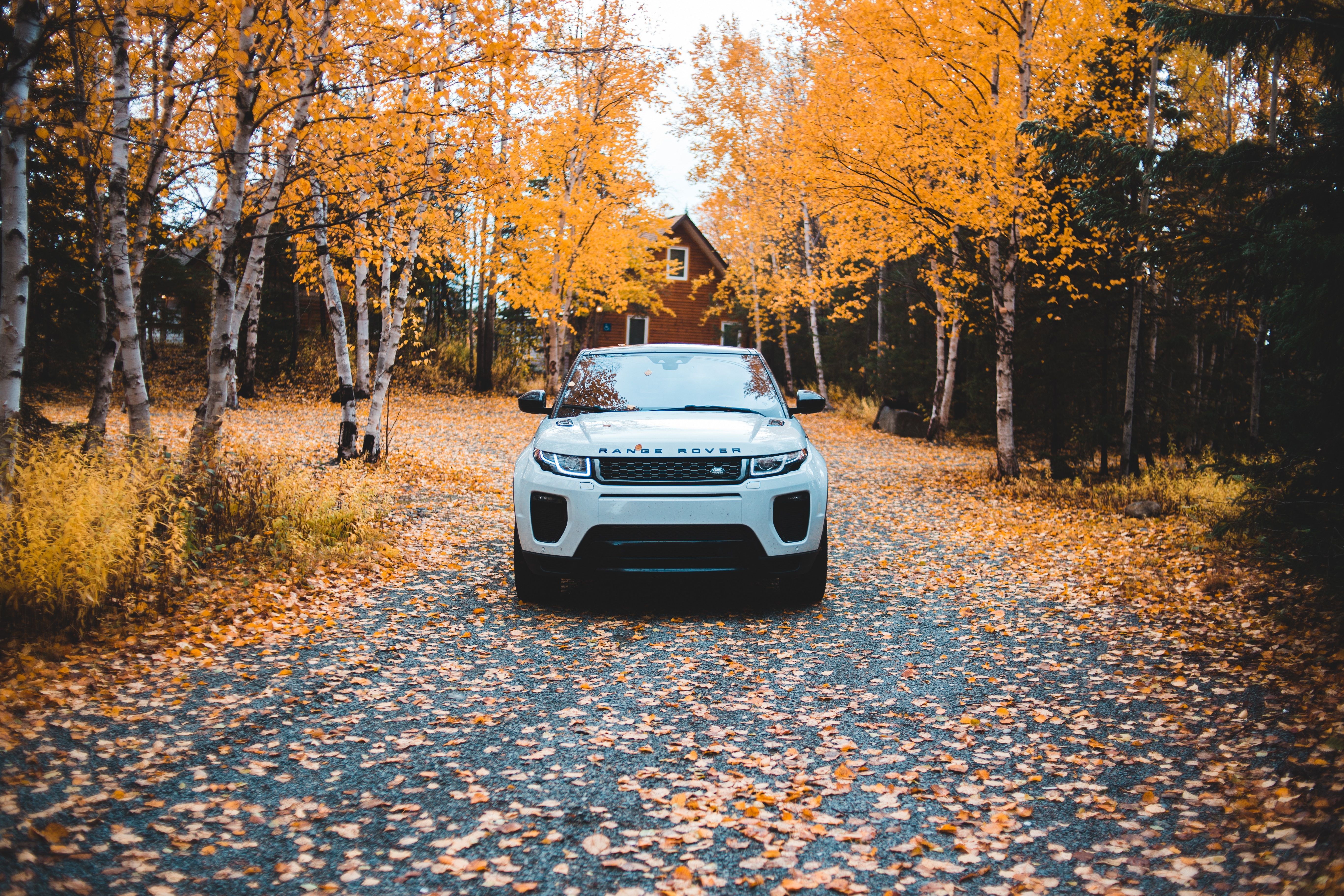 5472x3648 Wallpaper White Car Parked on Brown Dried Leaves on Ground During Daytime, Background Free Image