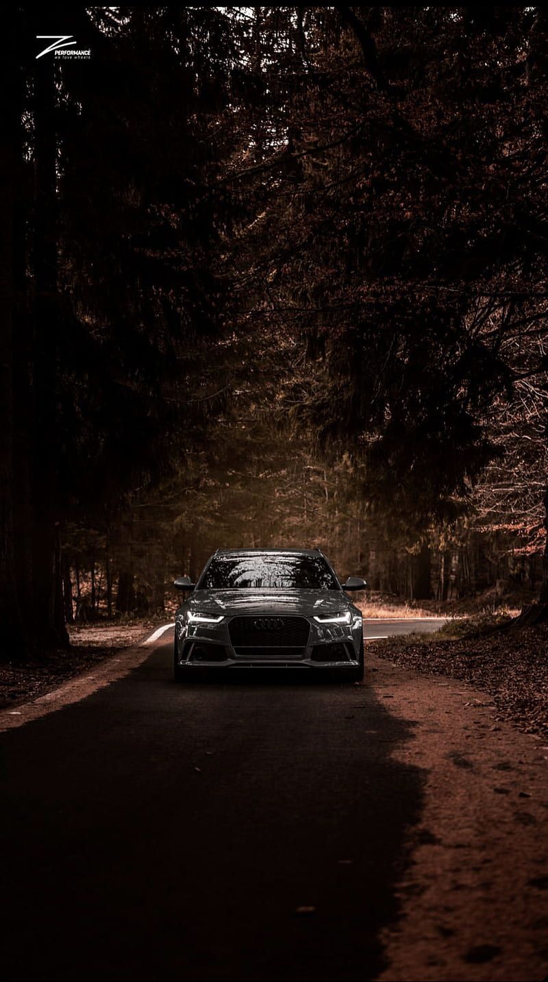 800x1433 Audi, autumn, car, nature, HD phone wallpaper