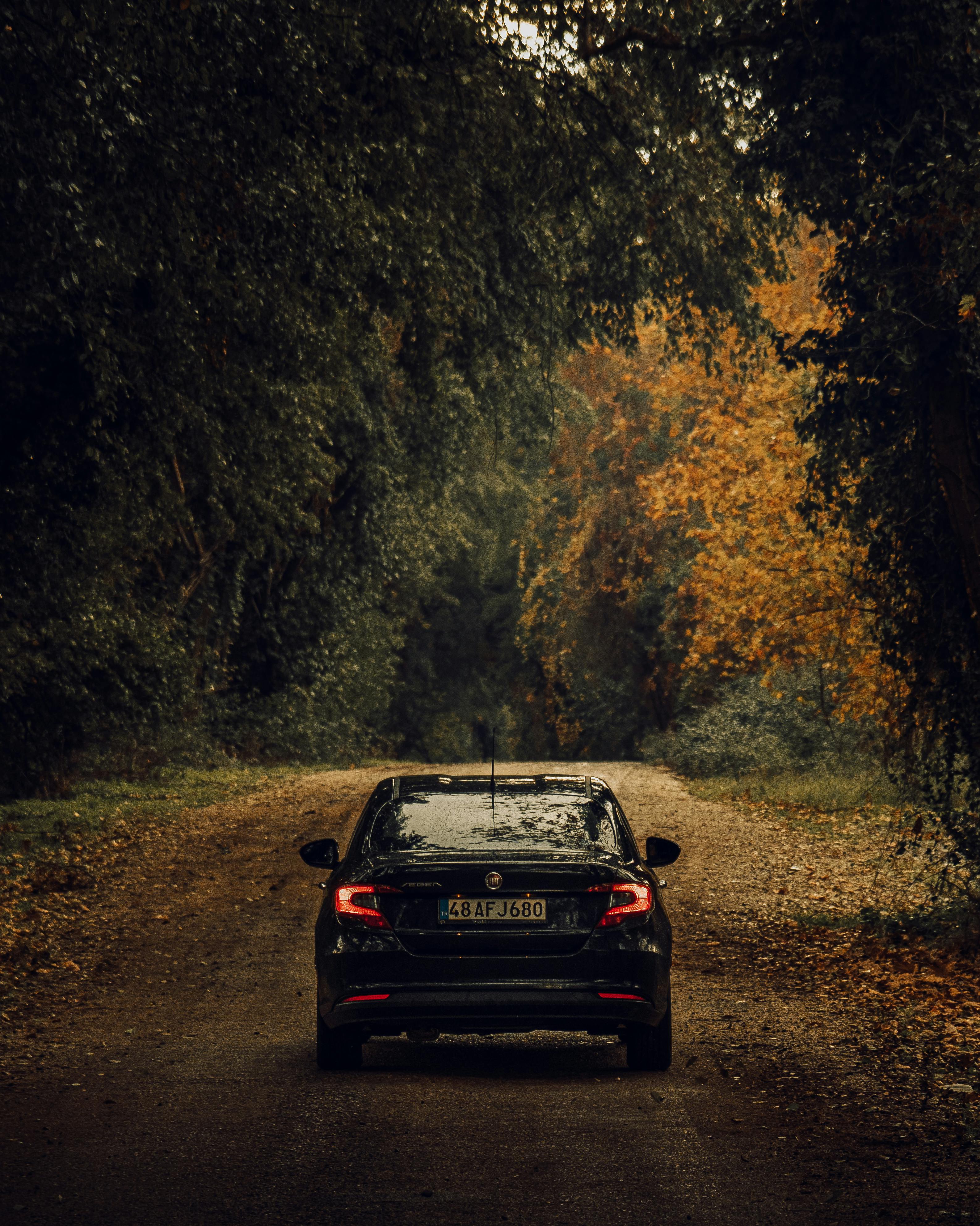 3173x3967 Car Driving Down a Road Surrounded by Trees · Free