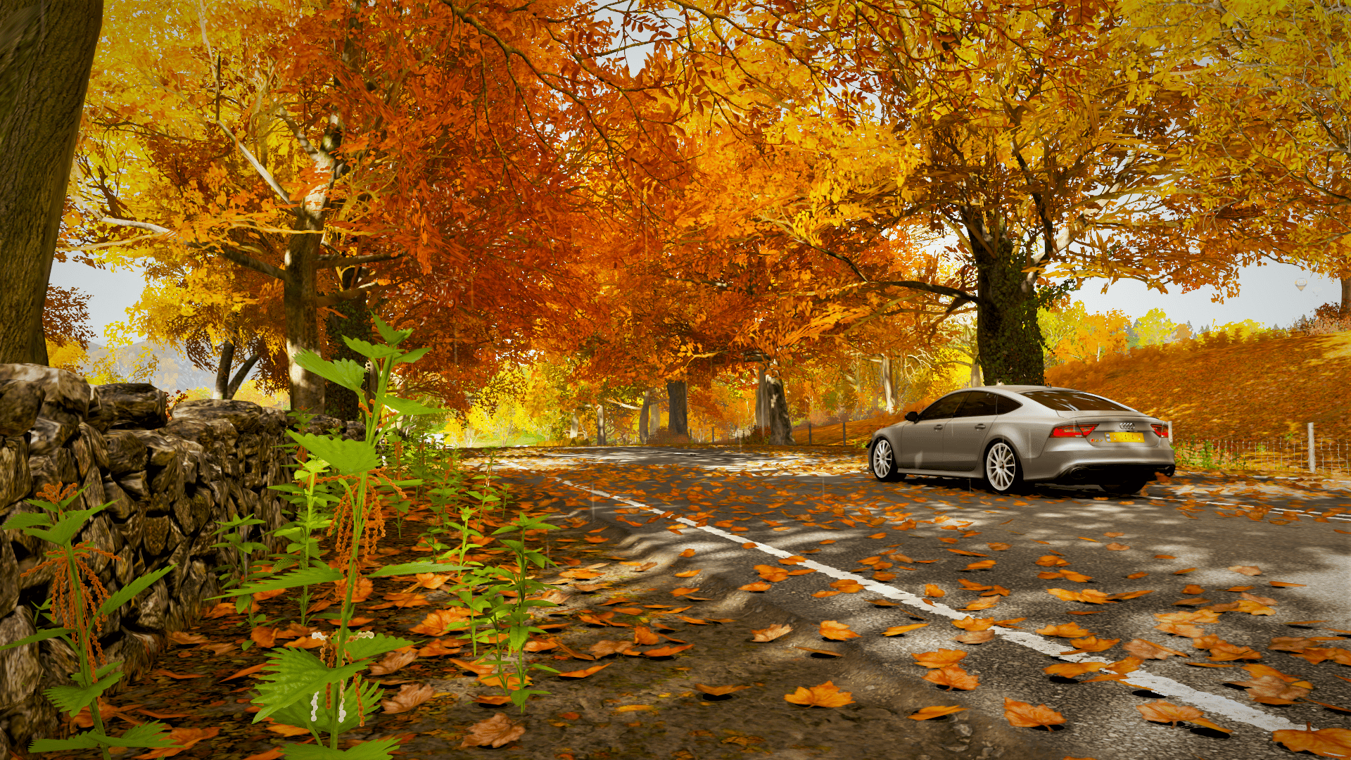 1920x1080 Car, Nature, Autumn [1920x1080]