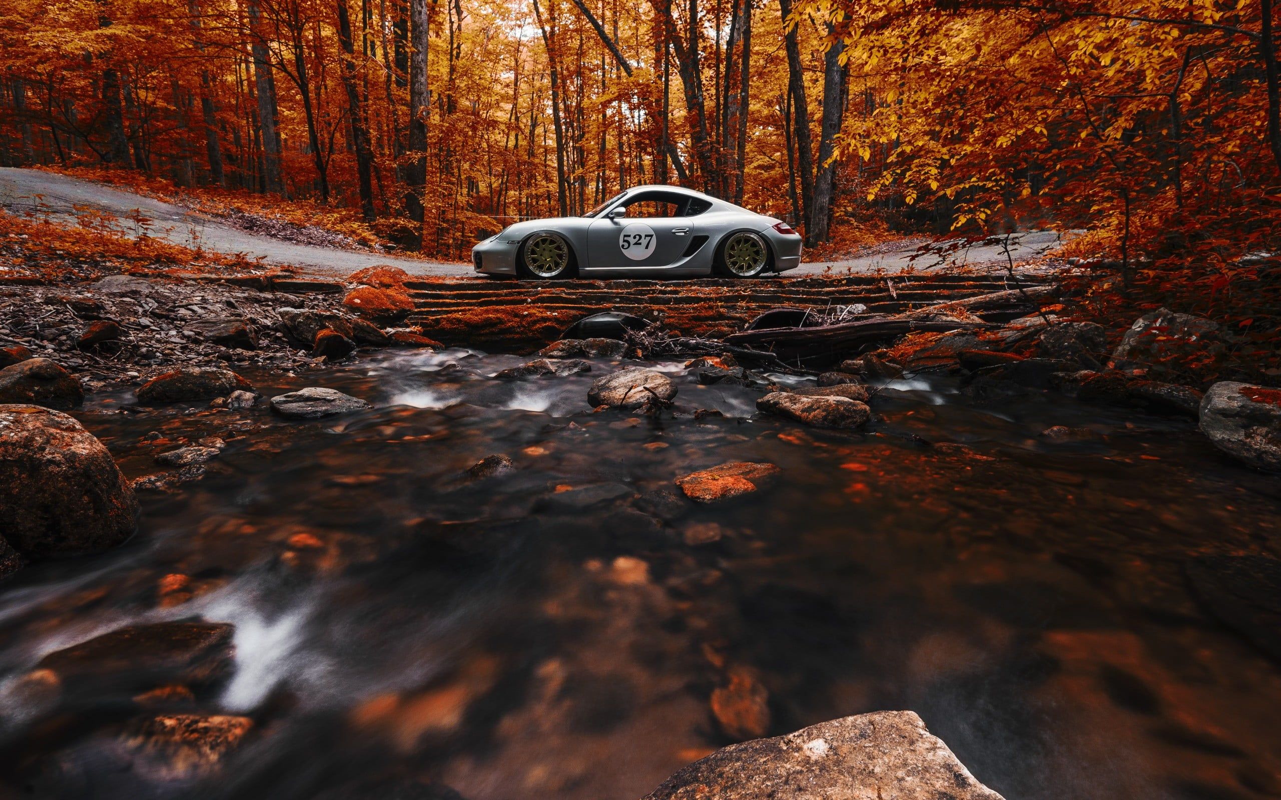 2560x1600 Gray sports car, nature, car, trees, forest HD wallpaper