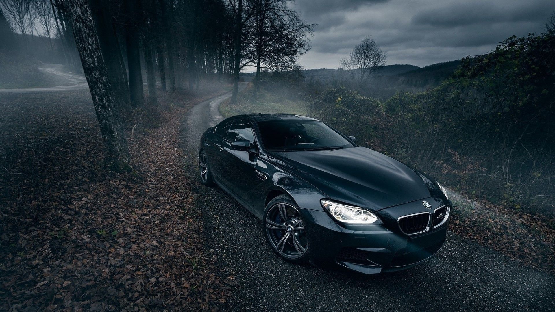 1920x1080 car, Nature, Trees, Road, BMW, BMW M6 Wallpaper HD / Desktop and Mobile Background