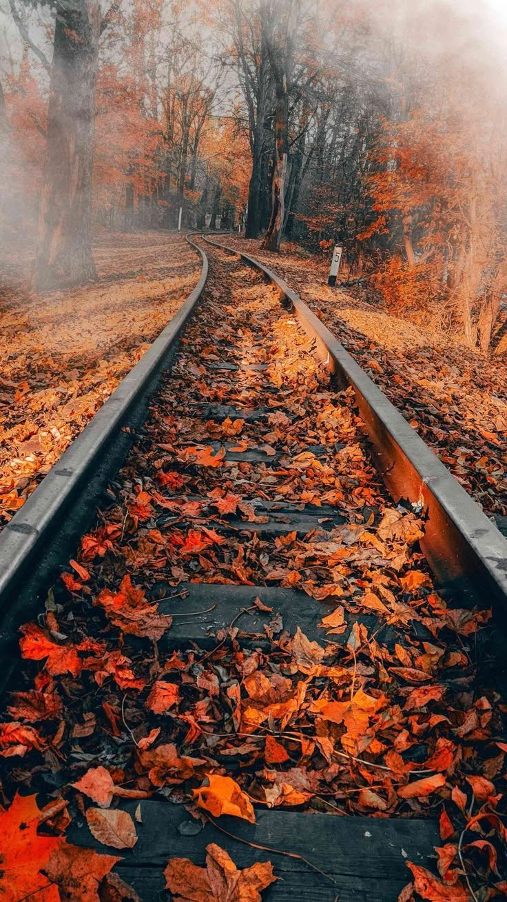 736x1308 iPhone 17 Pro WallpaperK Wallpaper for Apple