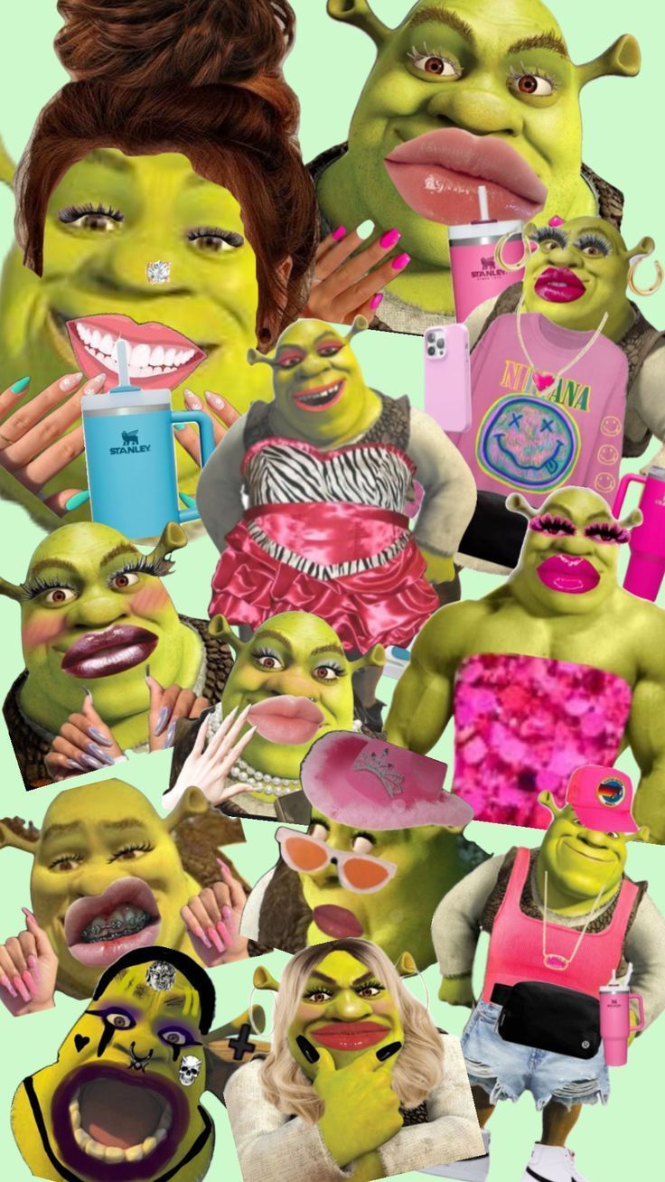 736x1308 shrek#makeover#husband#funny#foryou