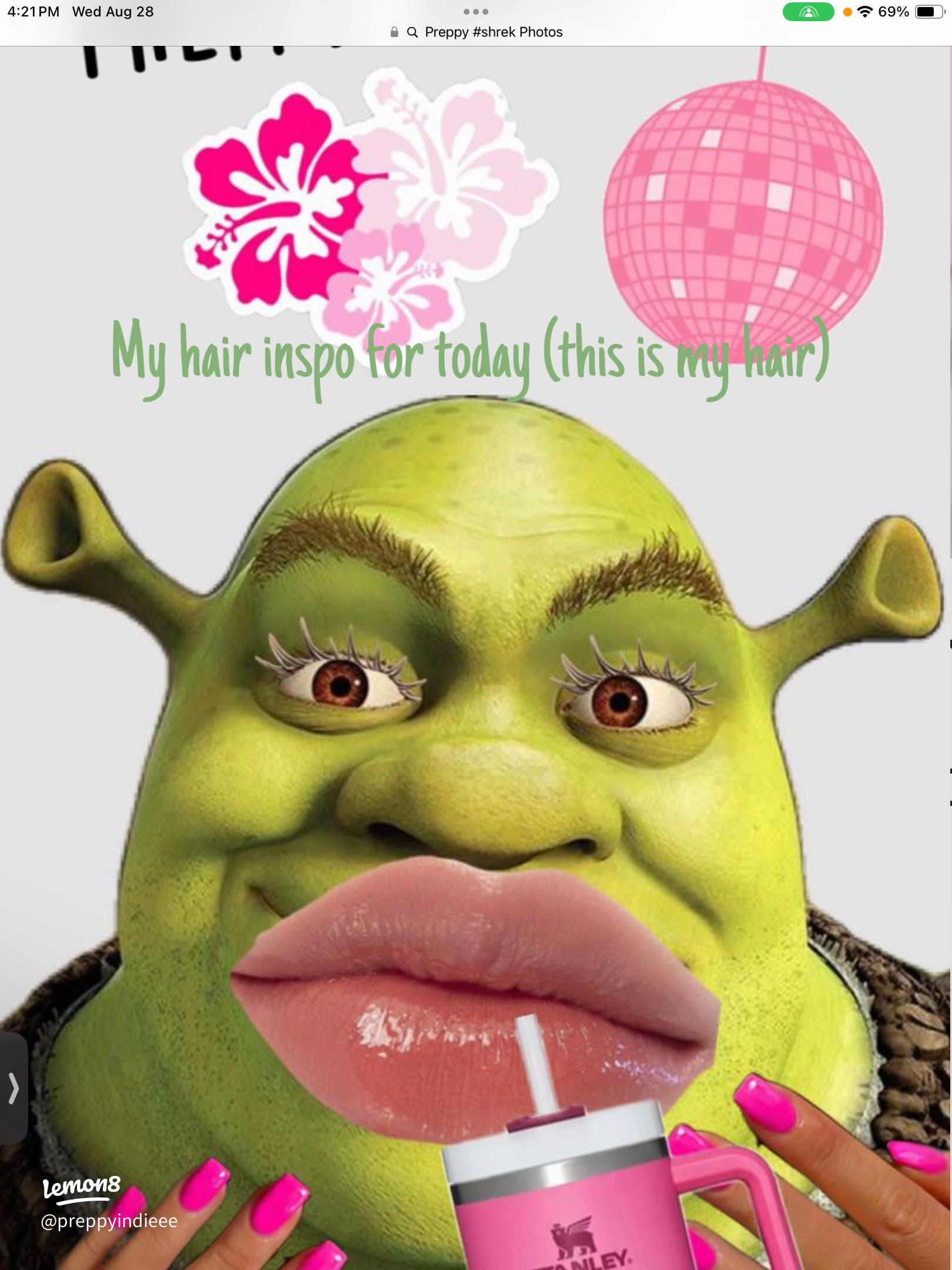 1620x2160 Embracing My Preppy Shrek Style