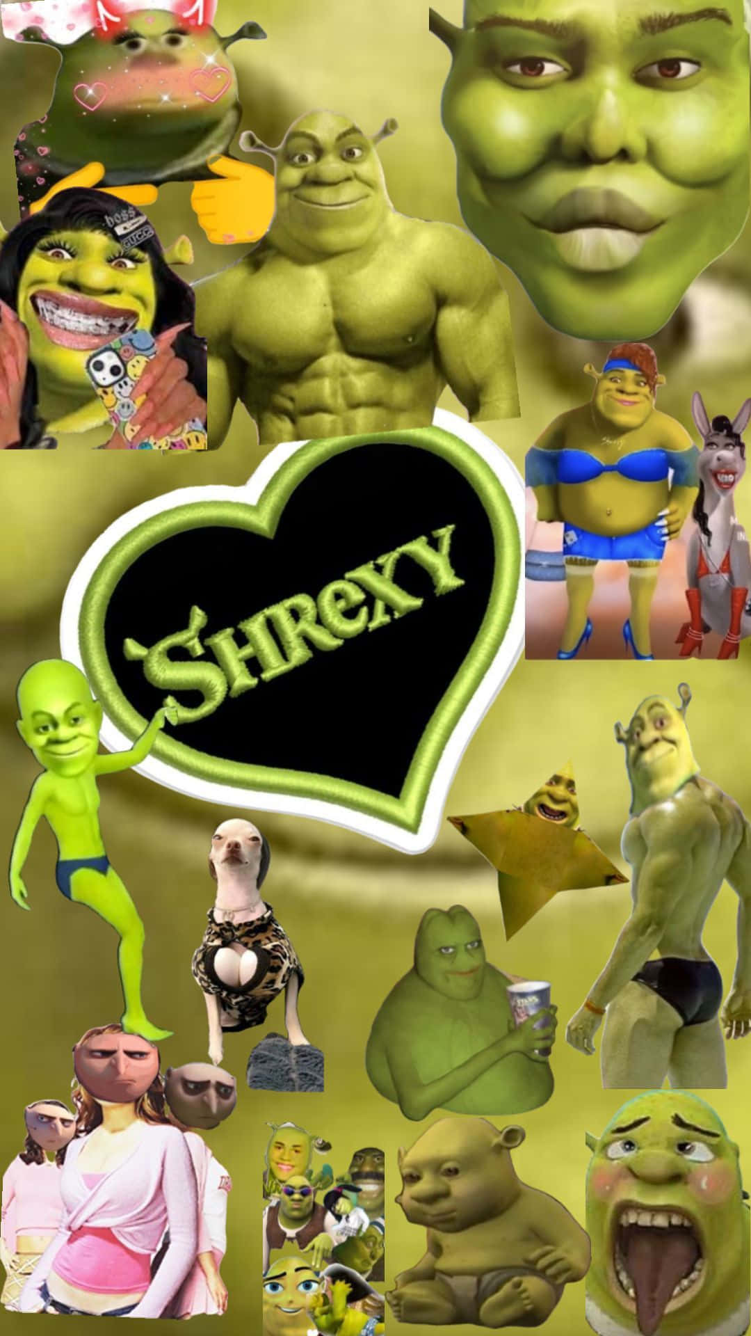 1080x1920 Shrek Aesthetic Wallpaper