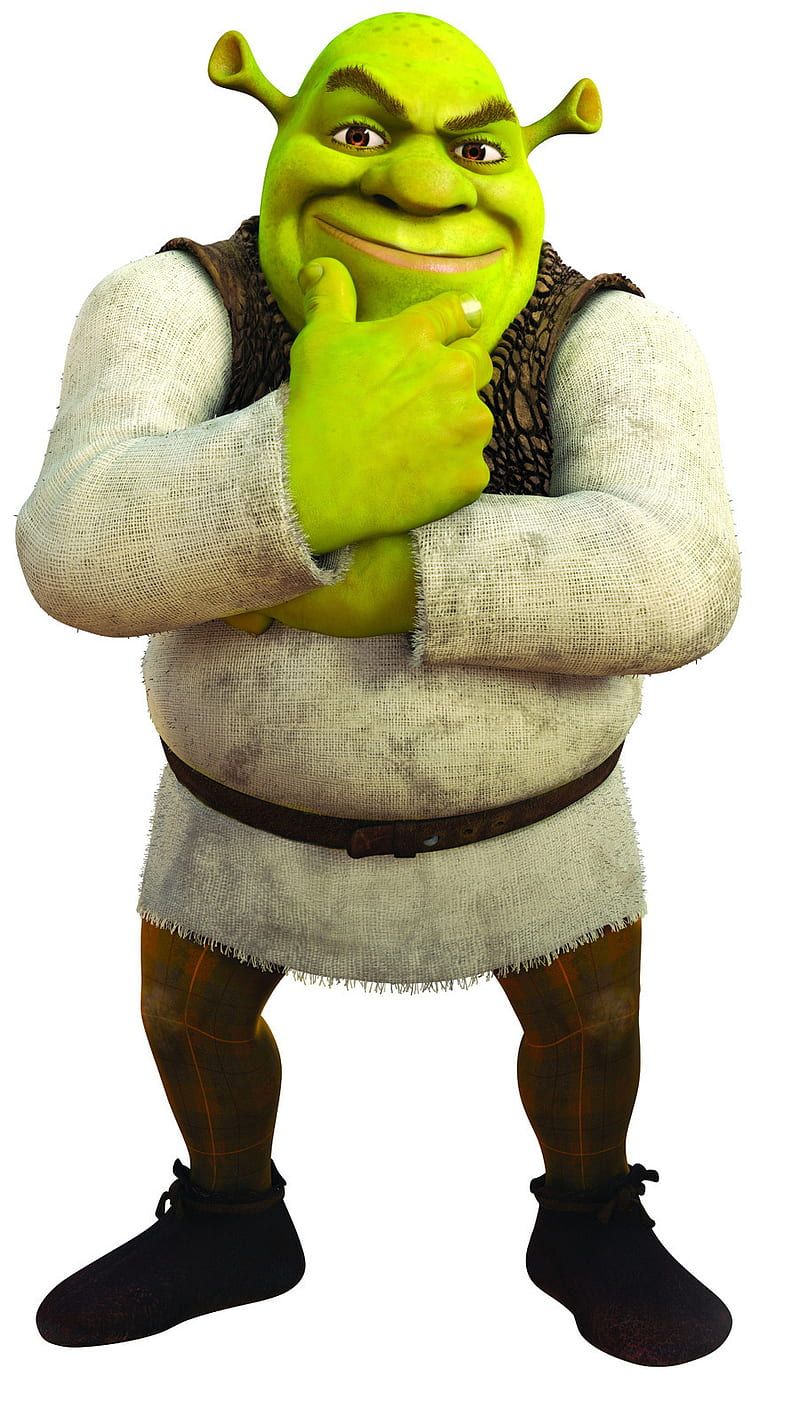 800x1410 Baddie Shrek, Shrek Meme, HD phone wallpaper