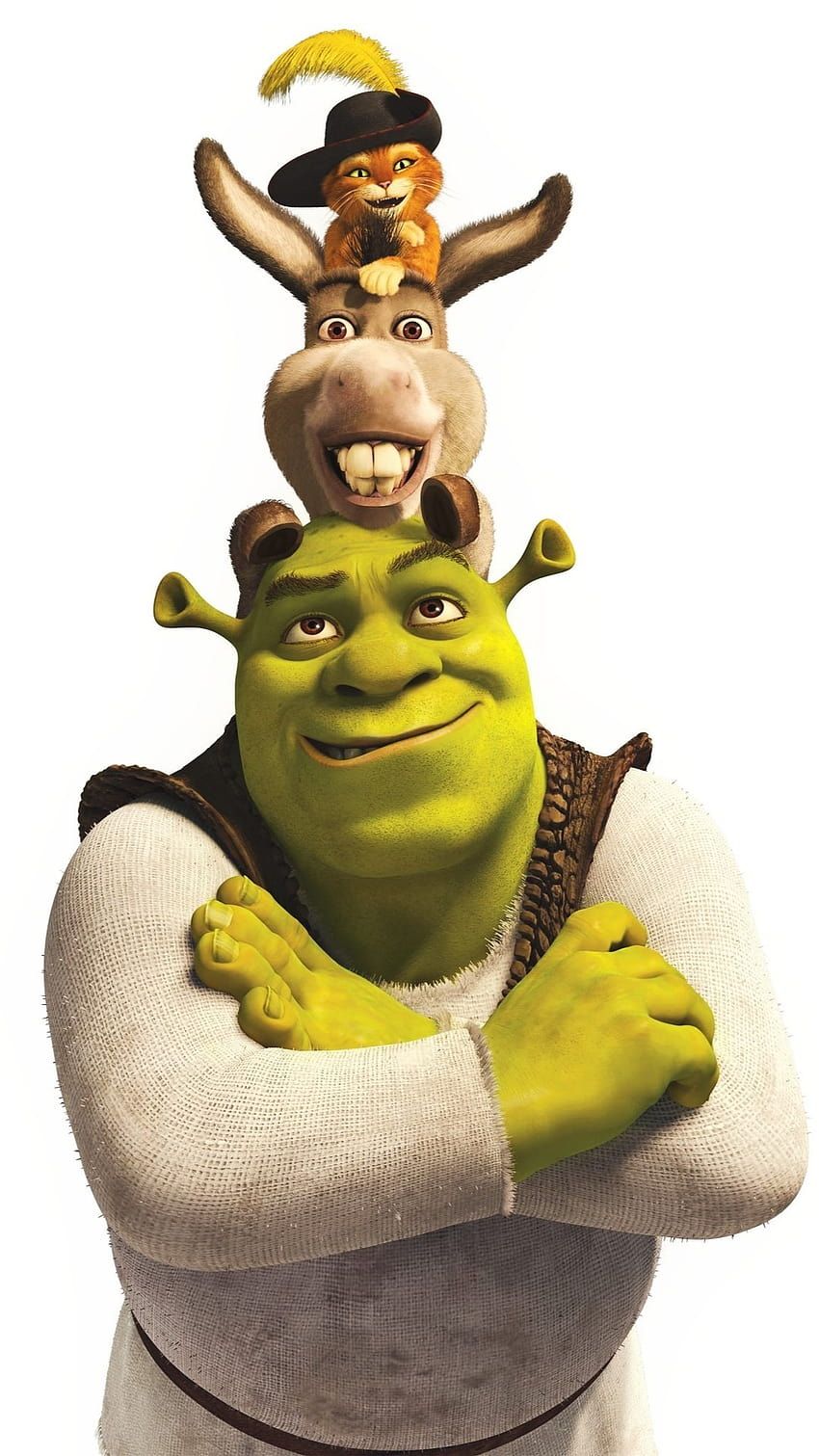 850x1511 My LockScreen, baddie shrek HD phone wallpaper
