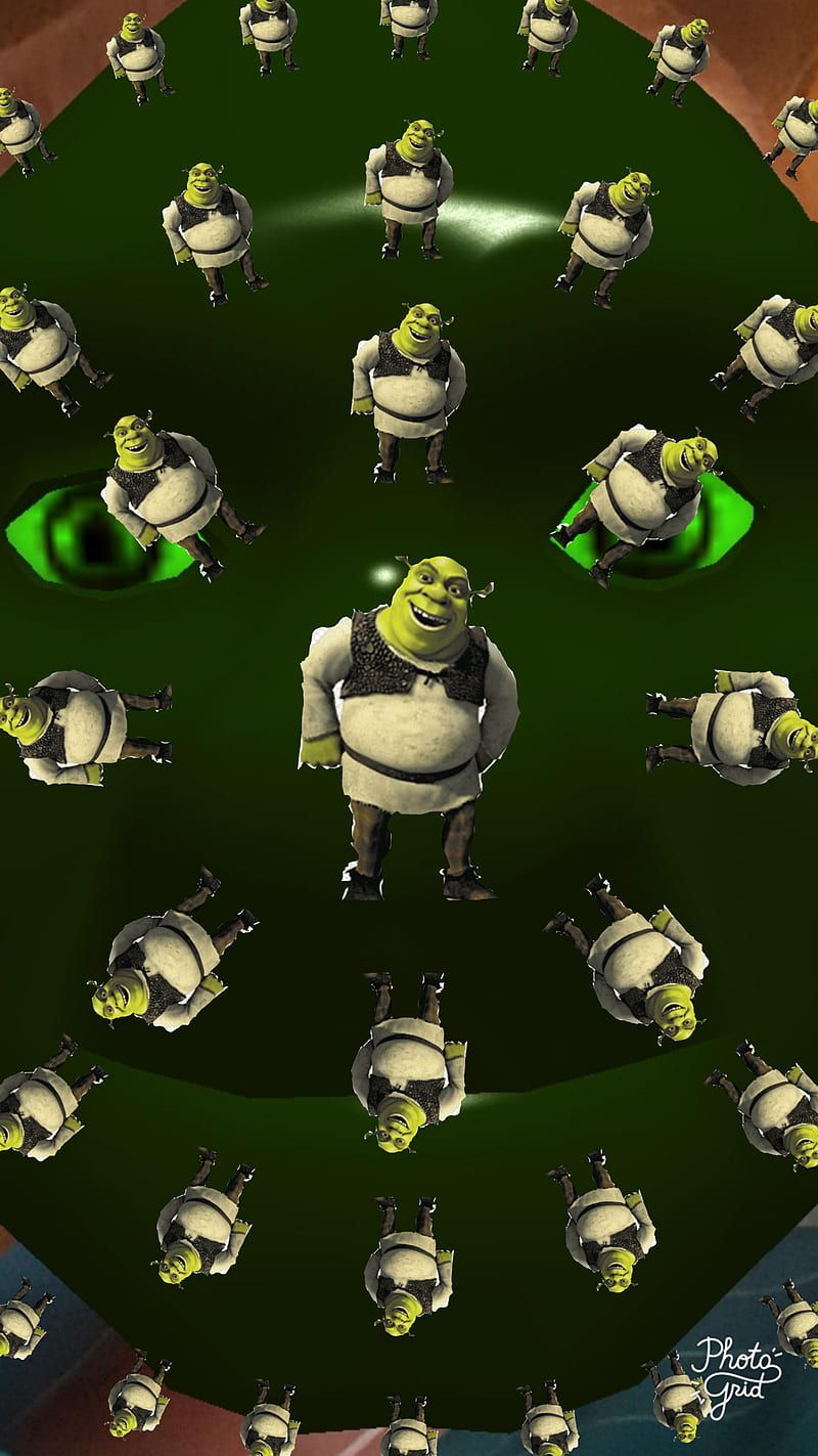 800x1423 Shrek, funny, shrek, HD phone wallpaper