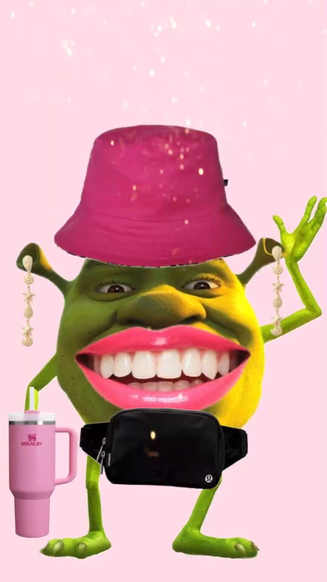 1080x1920 Discover 8 Baddie Shrek :) and Shrek Funny Ideas. preppy shrek, shrek looking meme, shrek mew and more