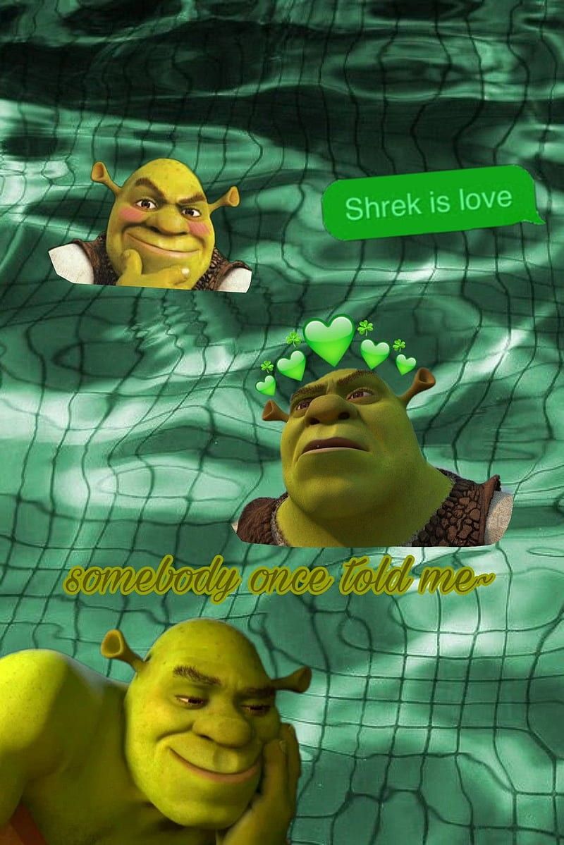 800x1199 Background Shrek, Shrek Meme, HD phone wallpaper