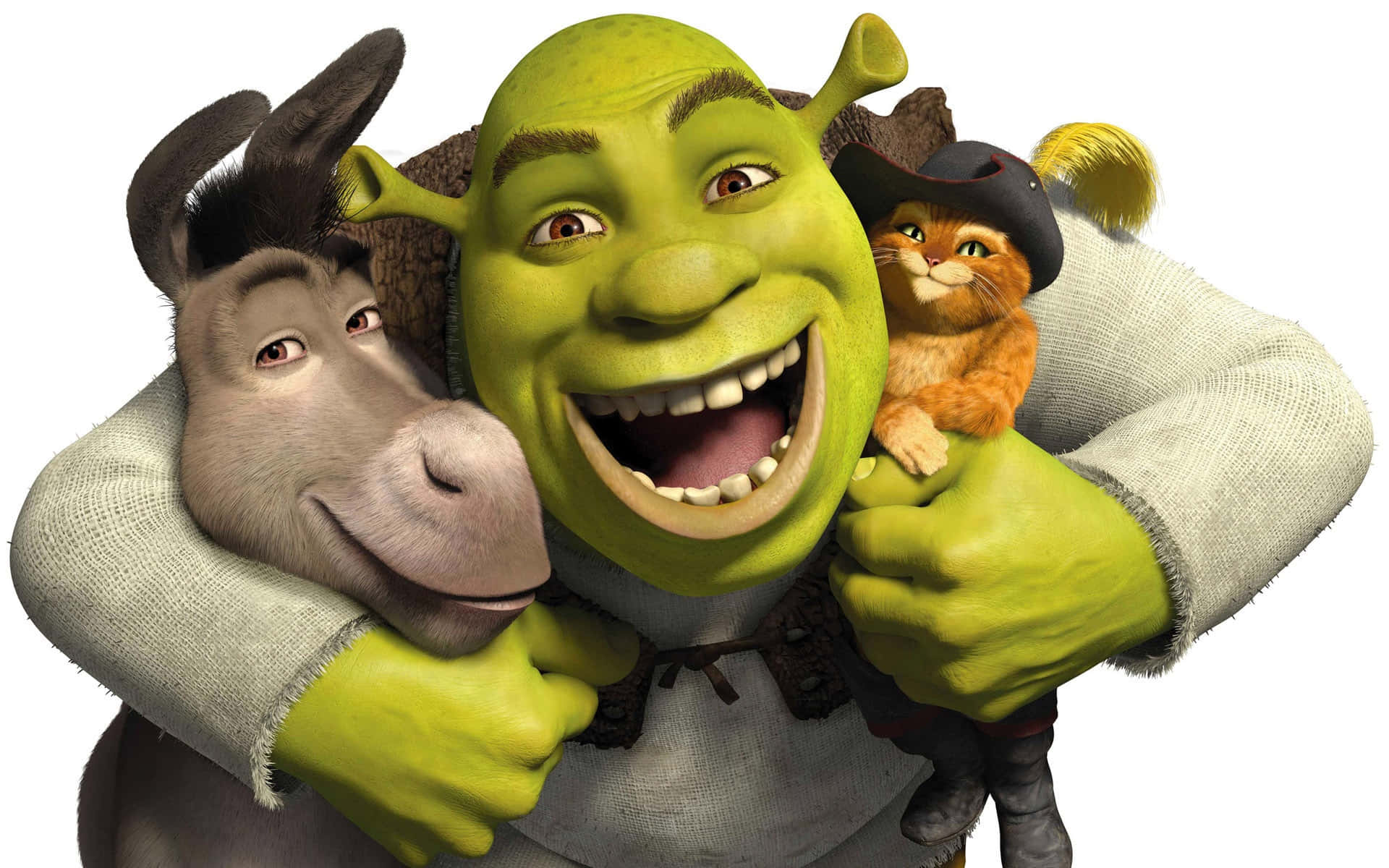 1920x1200 Shrek Aesthetic Wallpaper