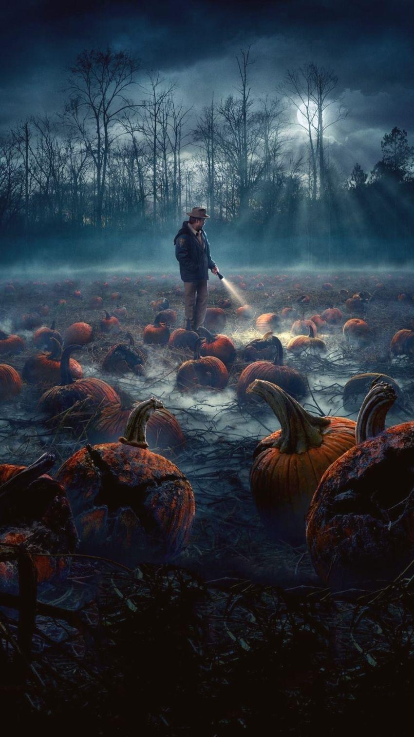 850x1511 Stranger Things Wallpaper HD
