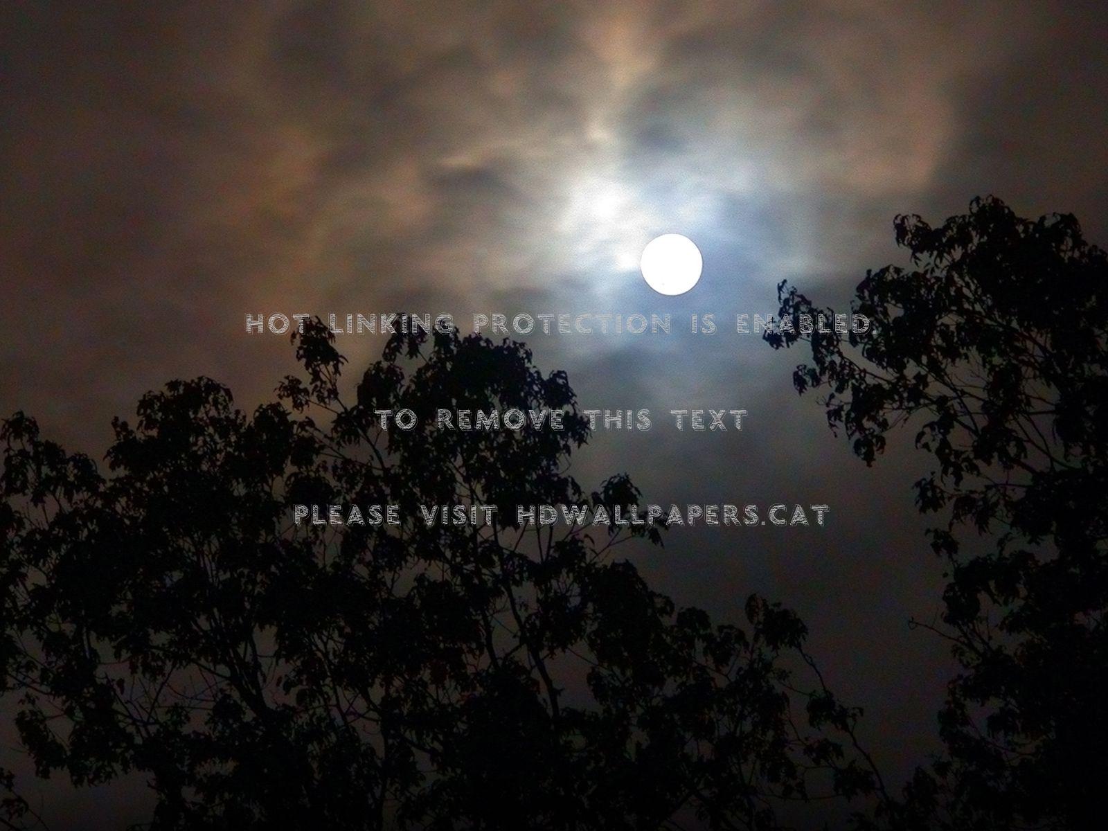 1600x1200 dark and stormy night trees sky moon clouds